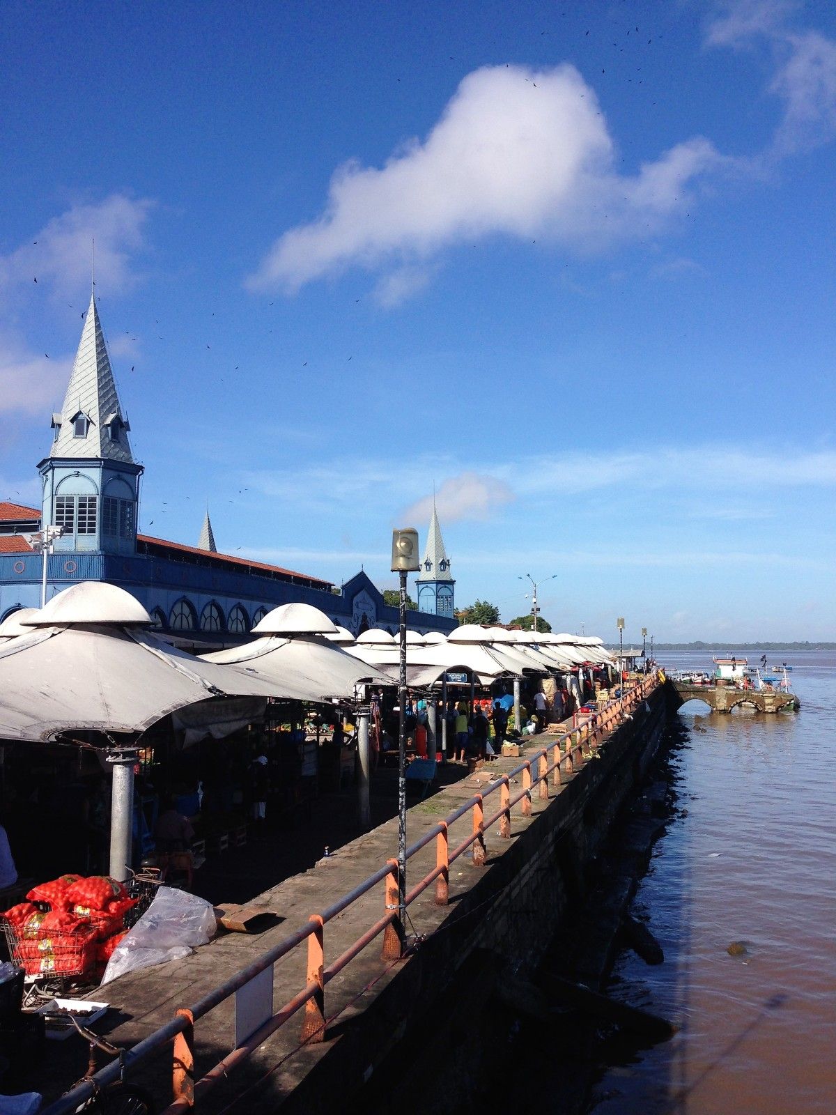 O que fazer em Belém do Pará. Roteiro com crianças! - 56