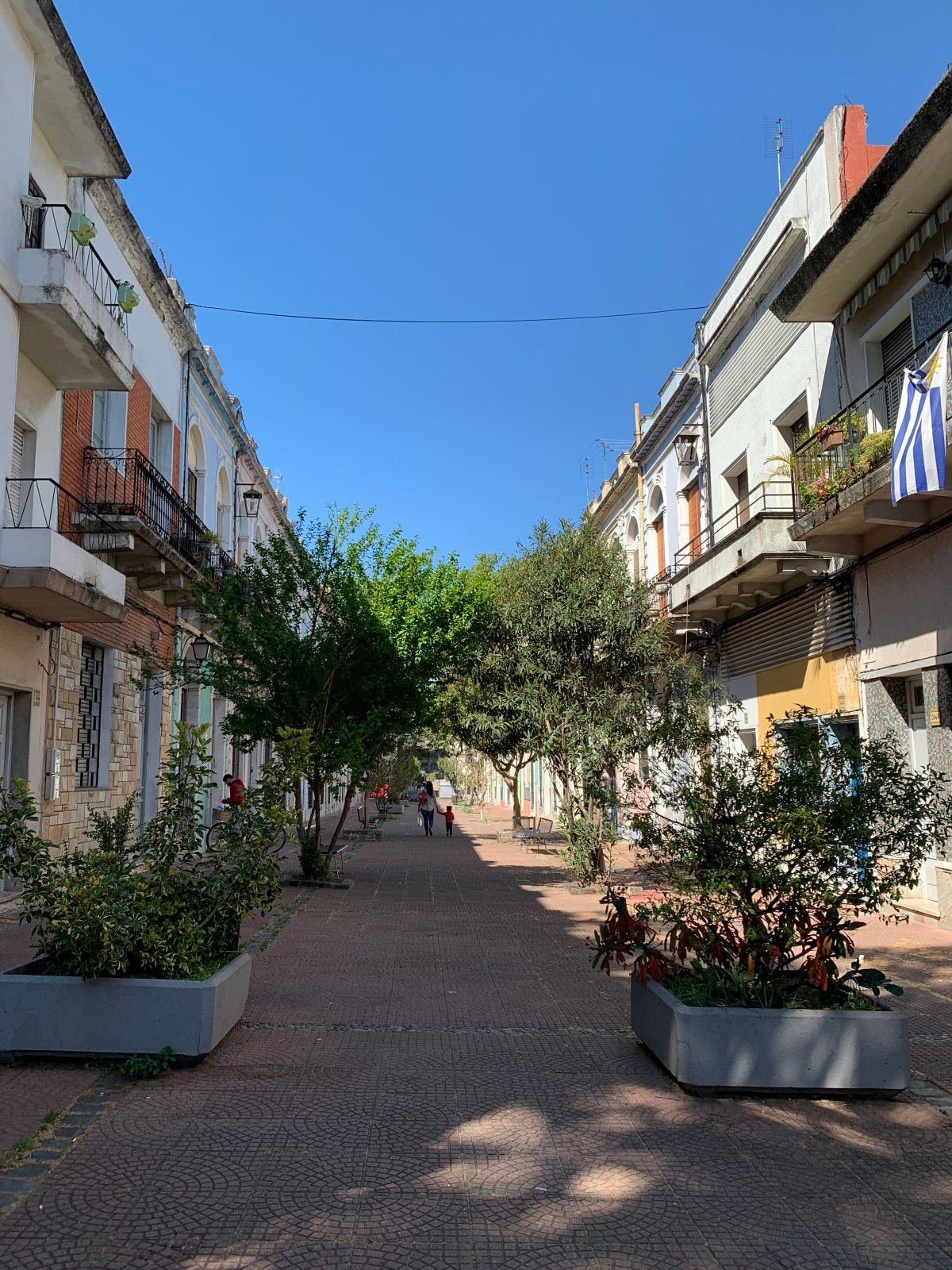 Bairro dos Judeus em Montevidéu: compras baratas e muito mais. - 17