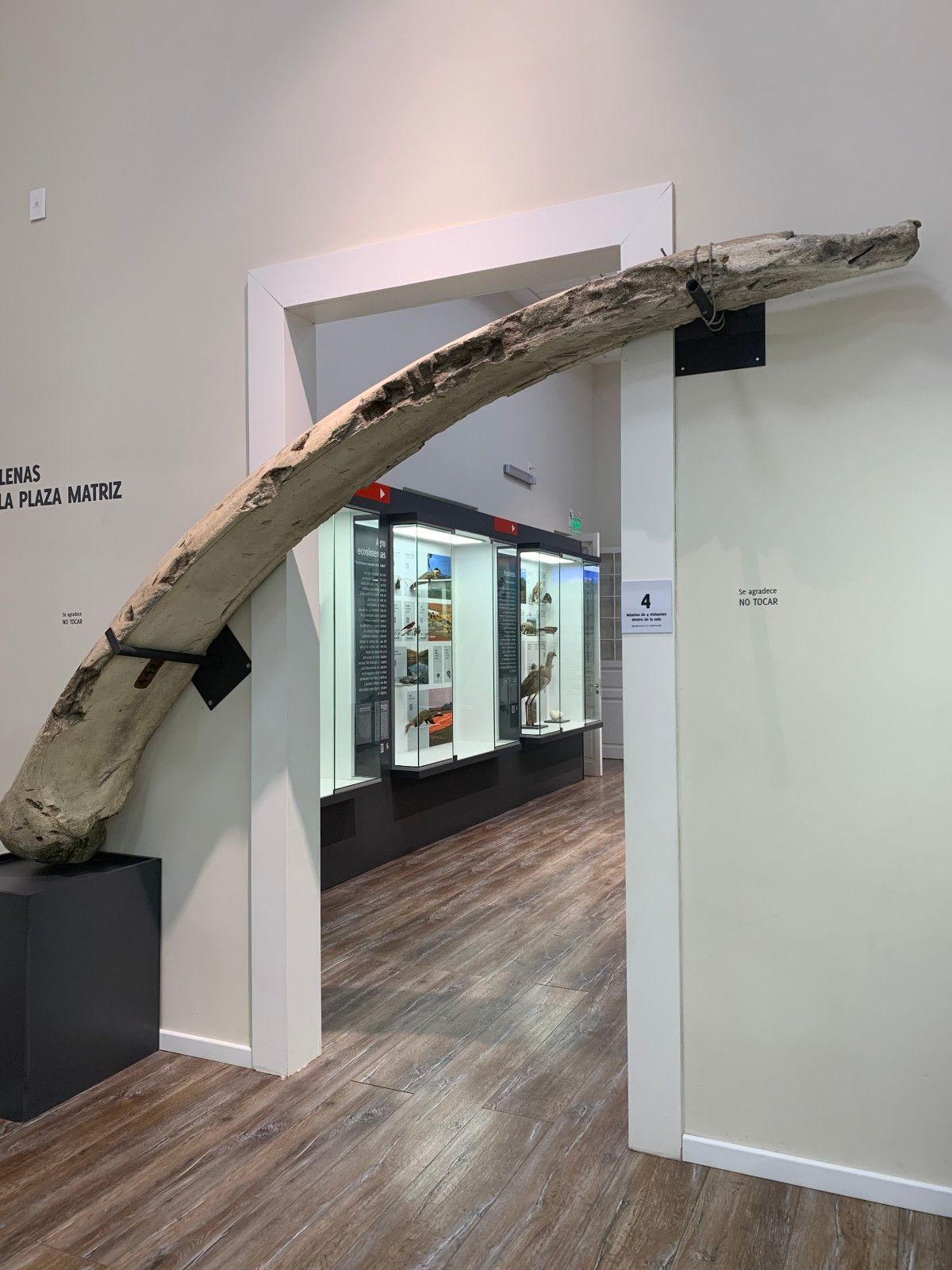 Bairro dos Judeus em Montevidéu: compras baratas e muito mais. - 40