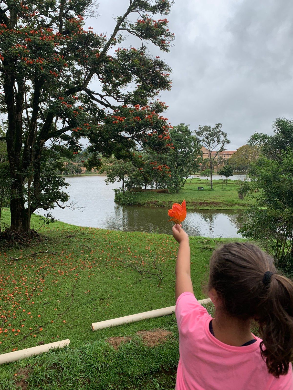 O que fazer em Araxá - 47