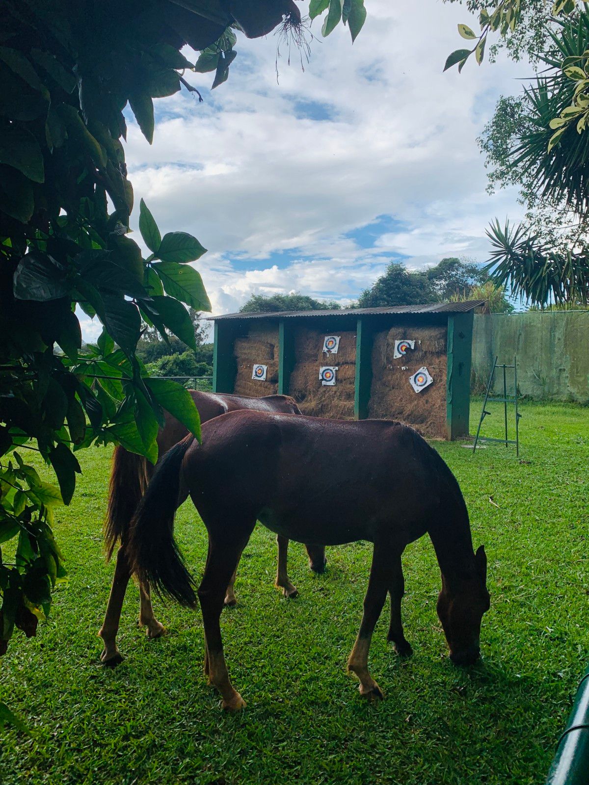 O que fazer em Araxá - 60