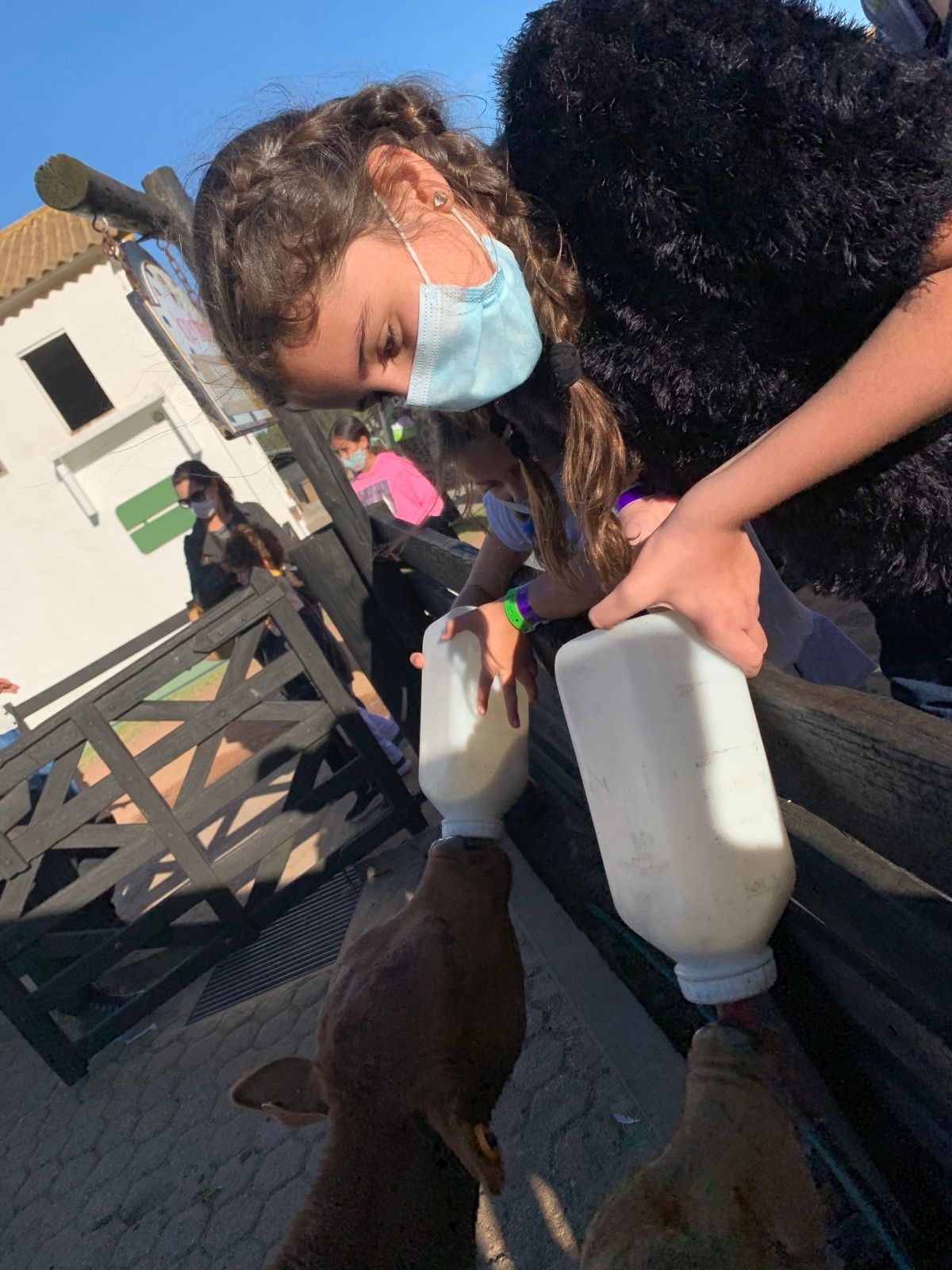 Fazenda Lapataia em Punta Del Este: conhecendo o Uruguay com crianças - 1