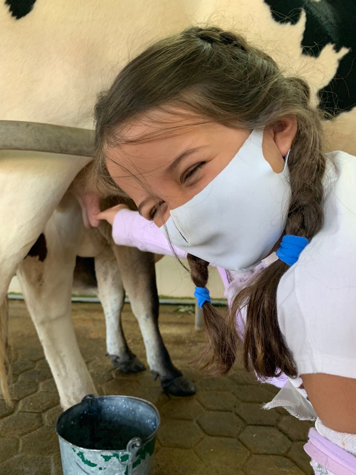 Fazenda Lapataia em Punta Del Este: conhecendo o Uruguay com crianças - 22