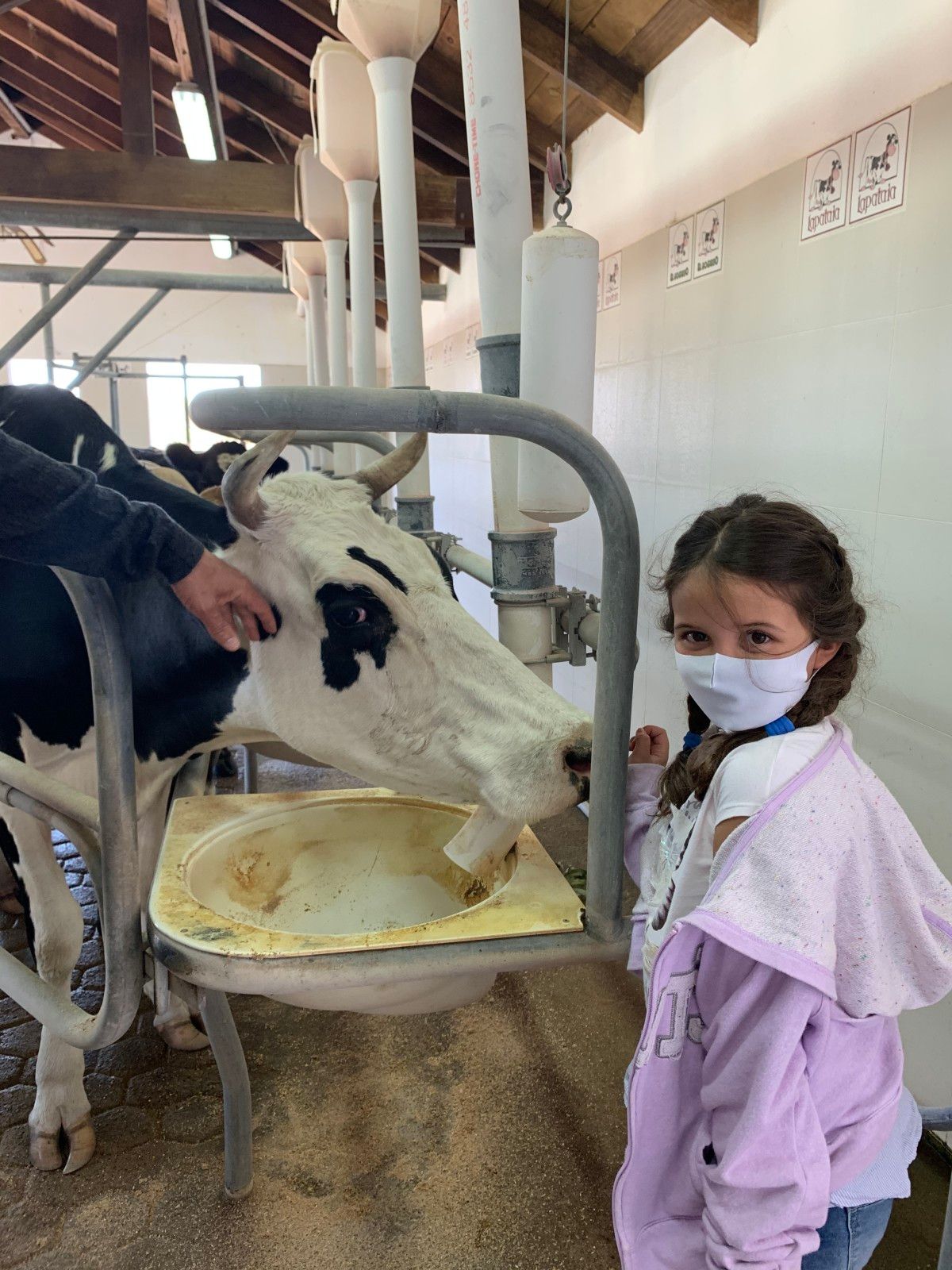 Fazenda Lapataia em Punta Del Este: conhecendo o Uruguay com crianças - 23