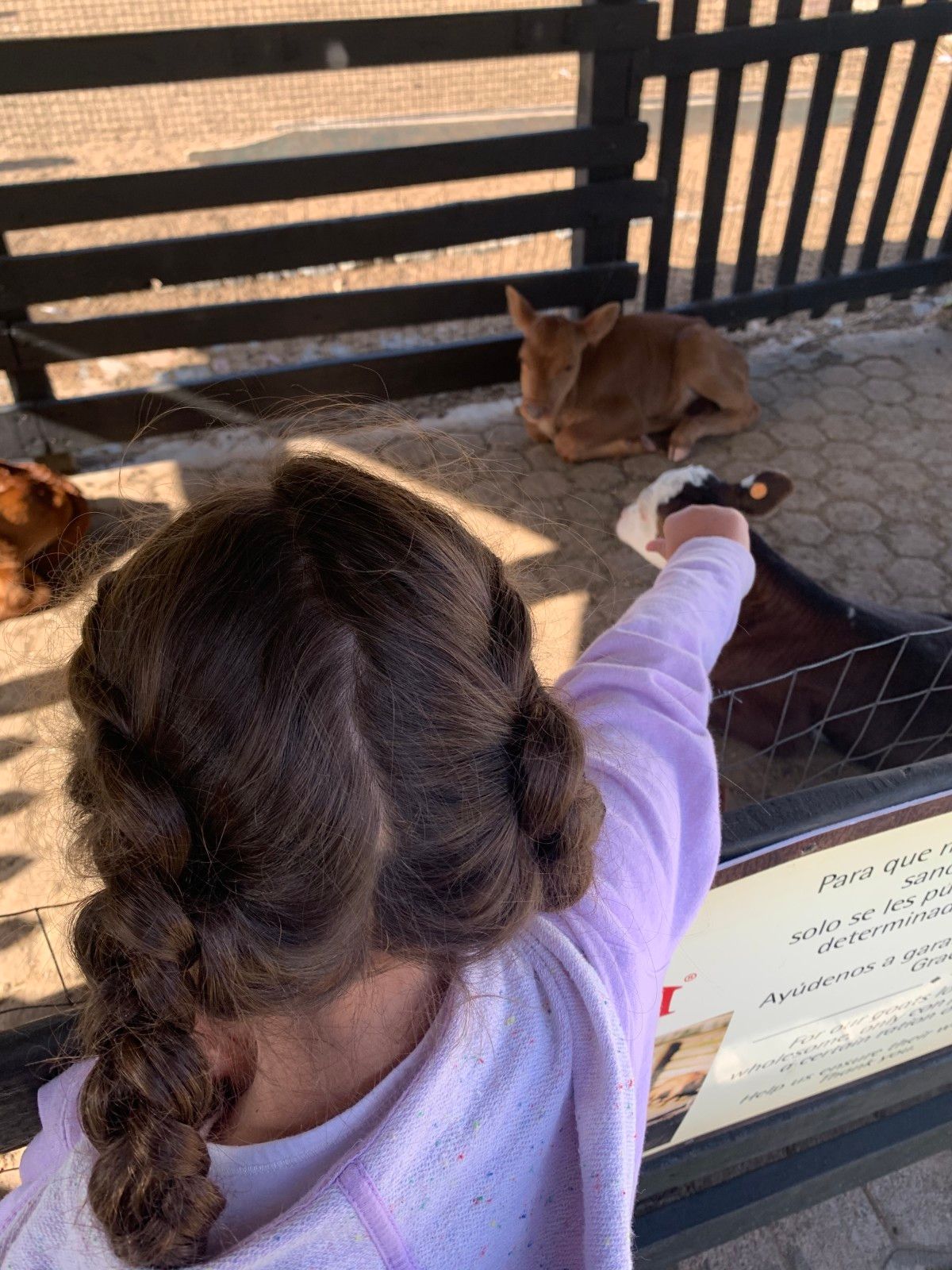 Fazenda Lapataia em Punta Del Este: conhecendo o Uruguay com crianças - 33