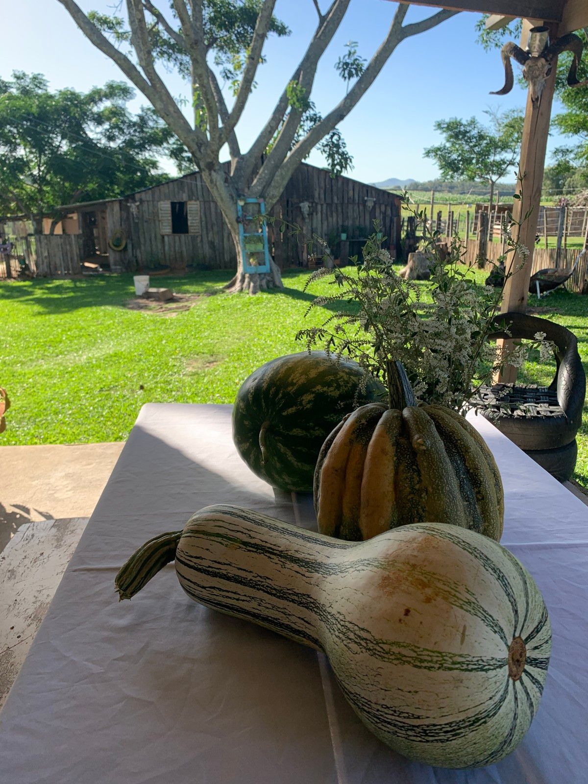 Provando delícias na rota Ferradura dos Vinhedos em Santana do Livramento - 54