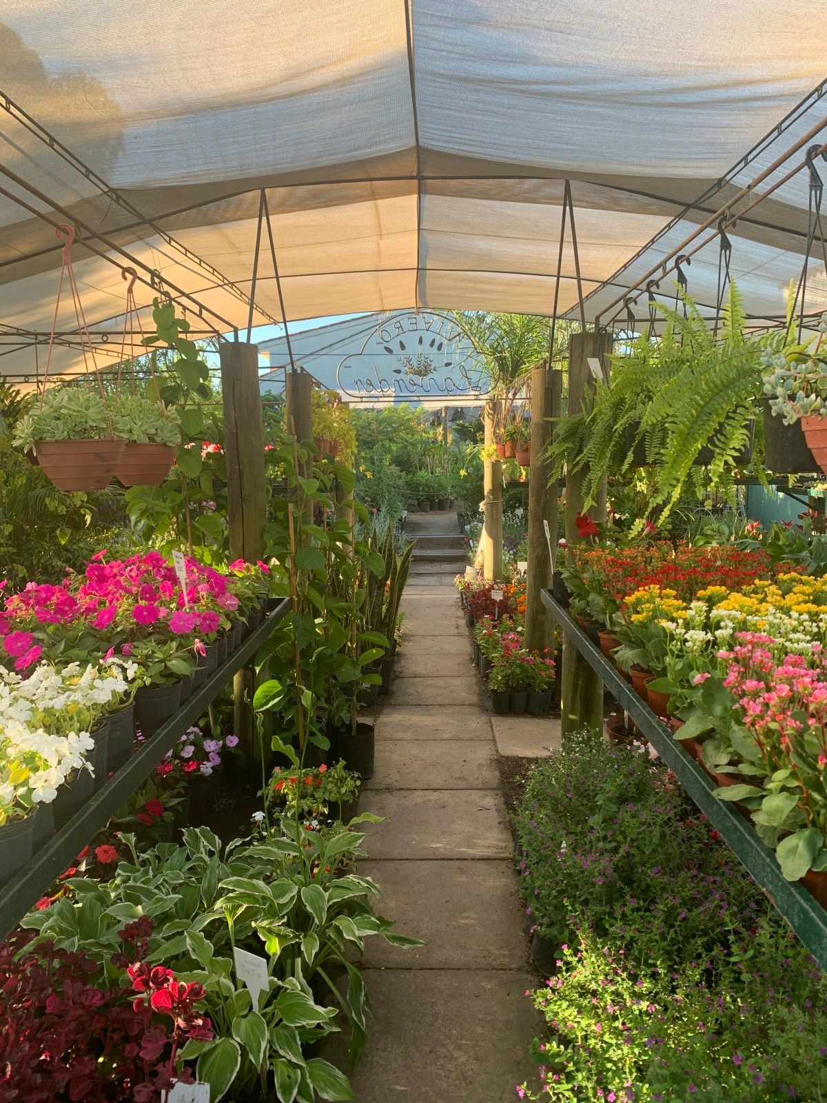 20 Cafés e Casas de Chá em Montevidéu que valem uma visita - 21