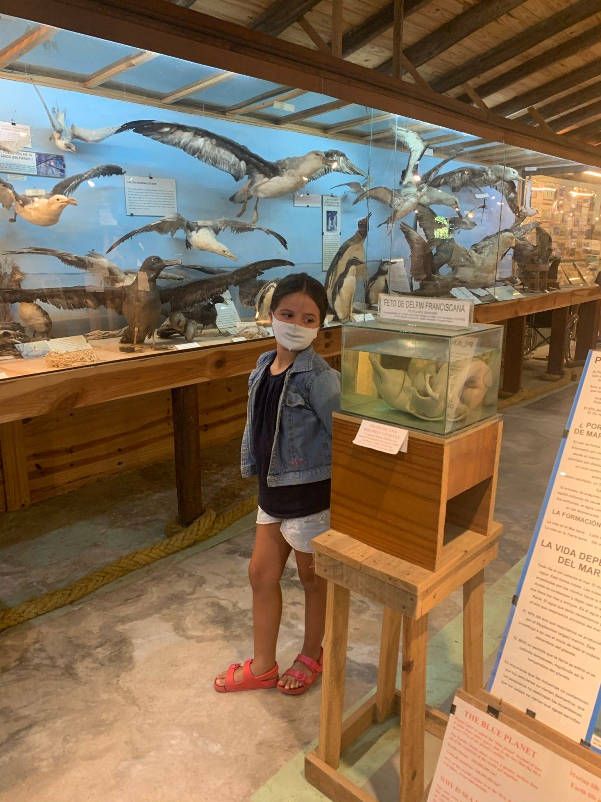 Museo del Mar em Punta del Este - 12