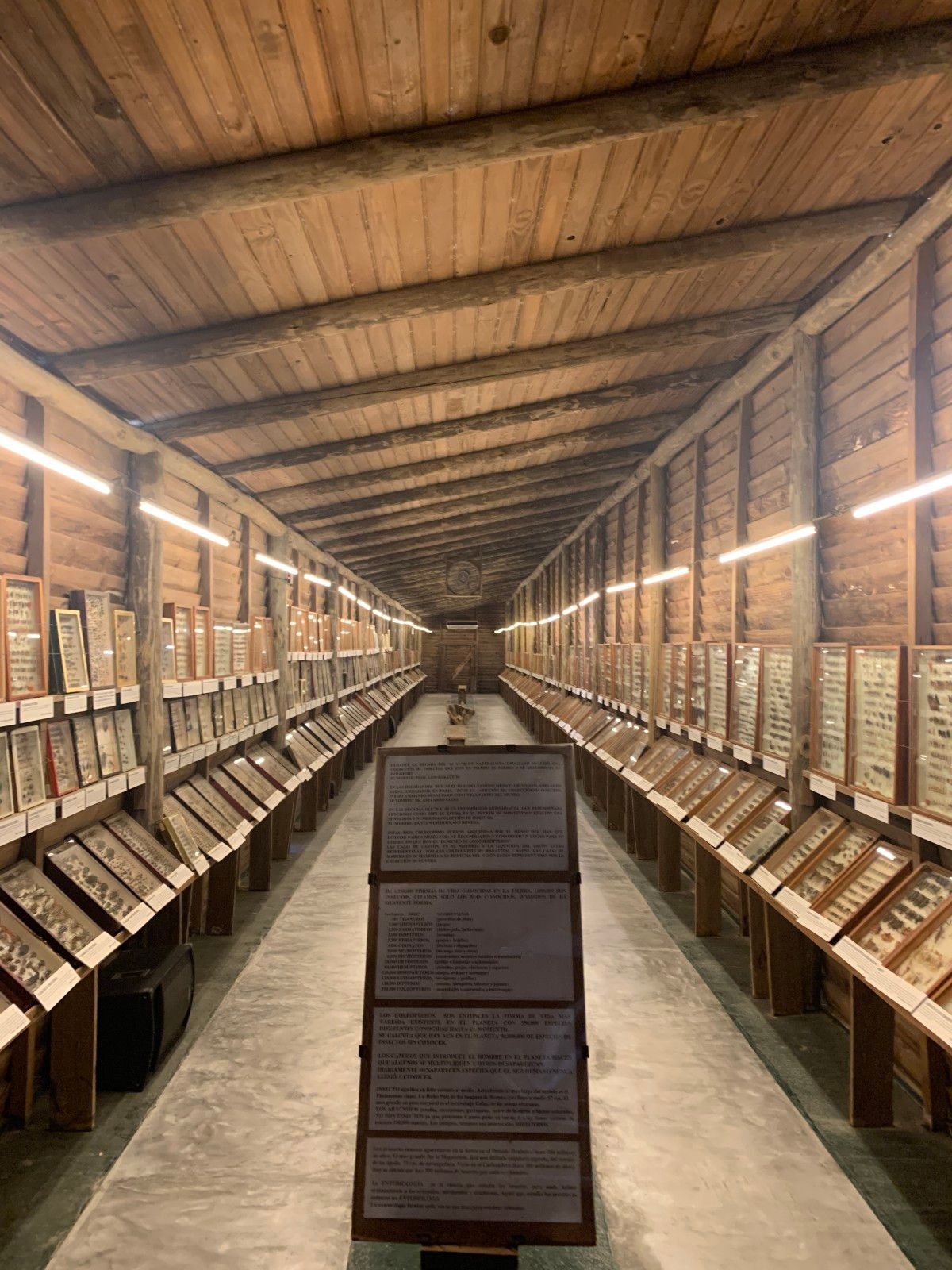 Museo del Mar em Punta del Este - 47