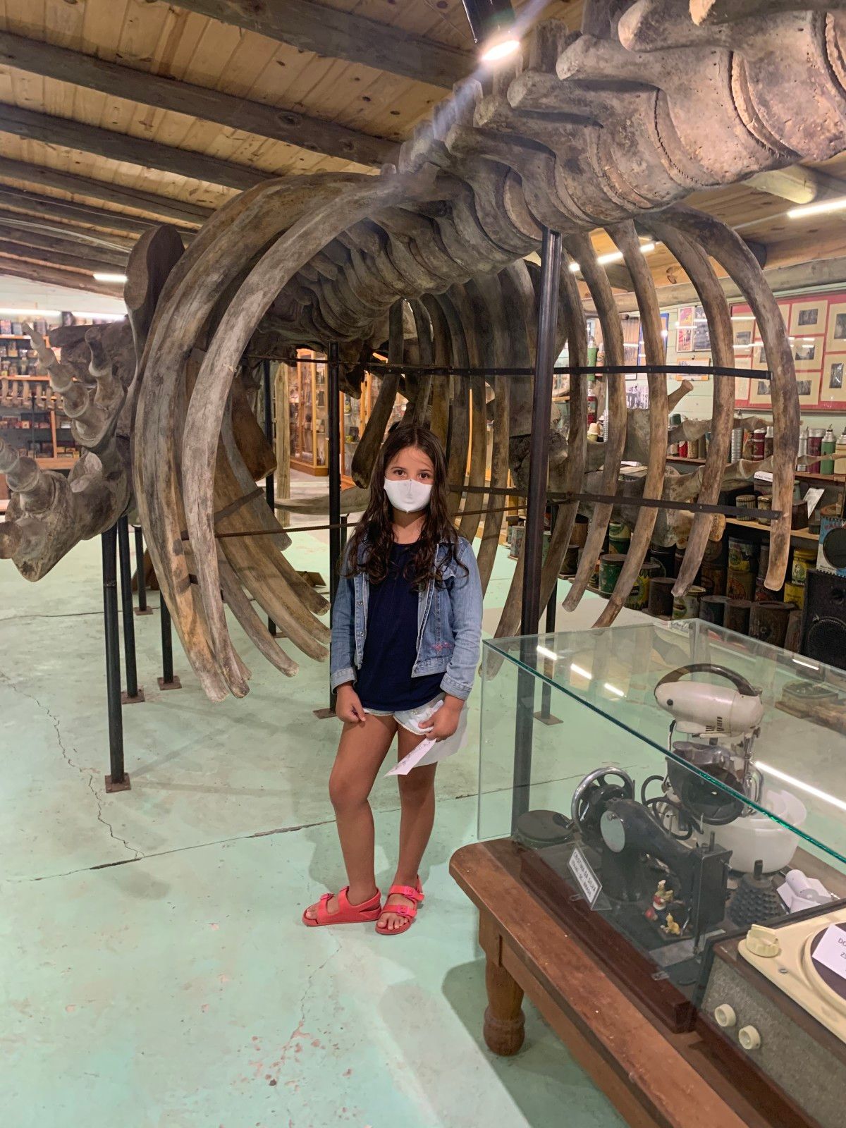 Museo del Mar em Punta del Este - 1