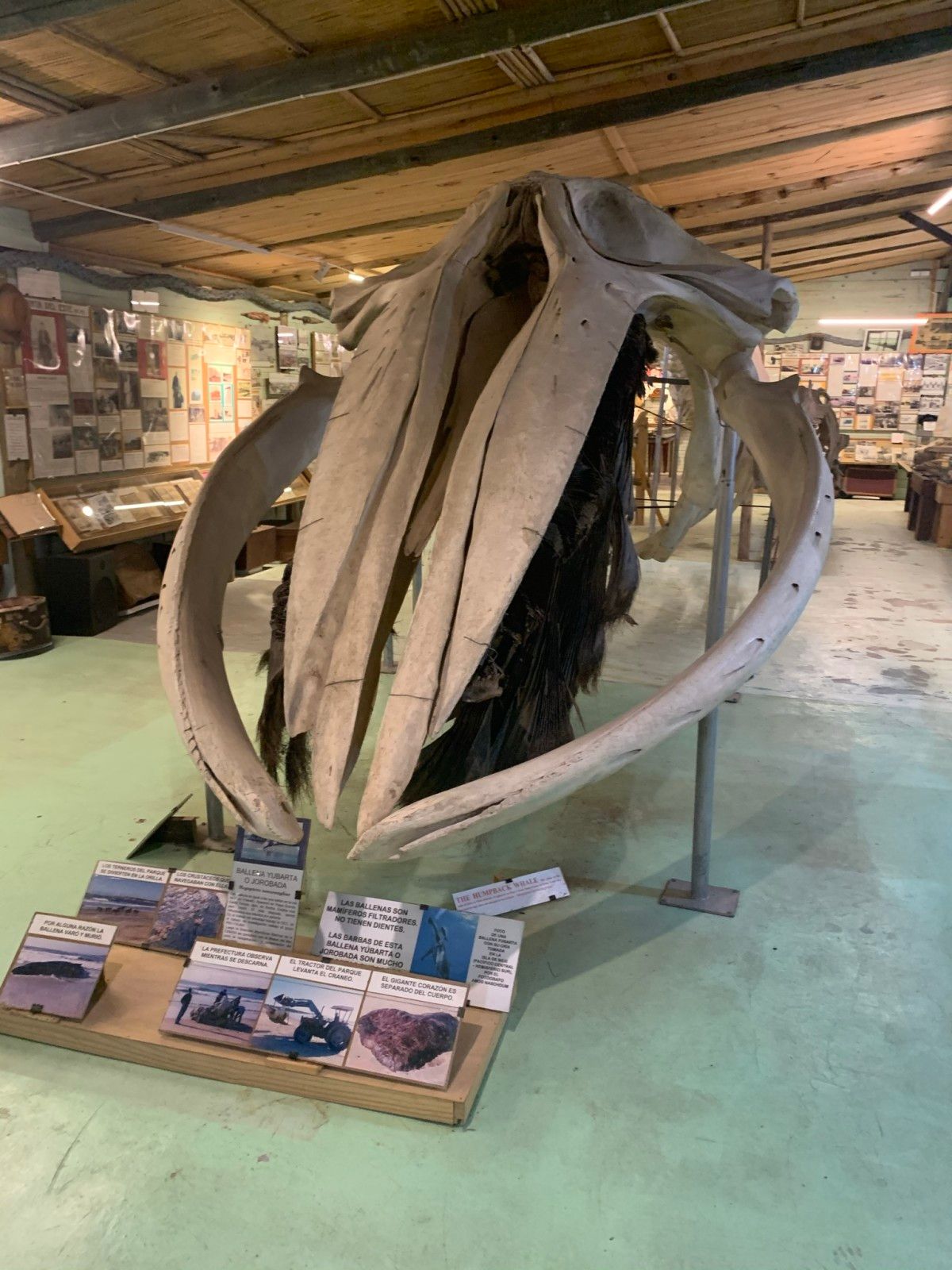 Museo del Mar em Punta del Este - 19