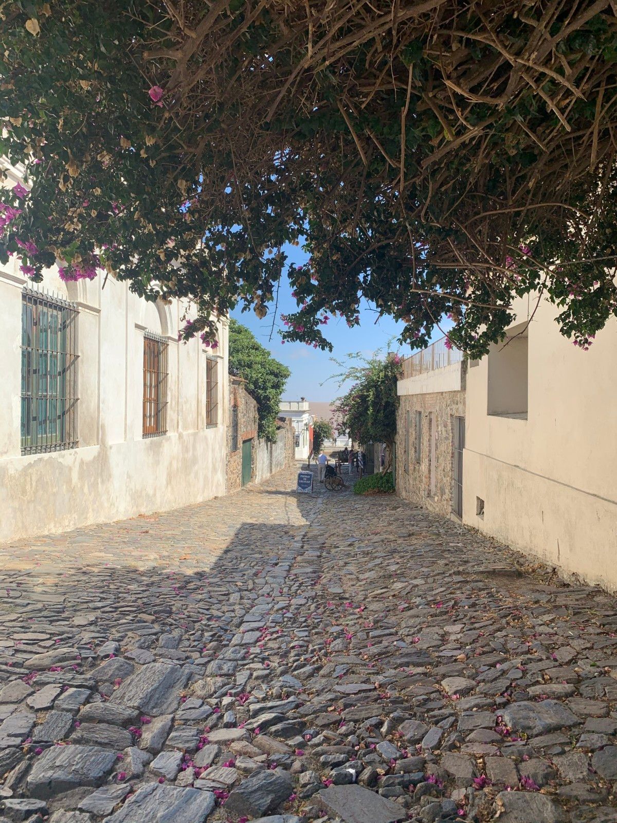 Walking Tour guiado pelo bairro histórico de Colonia  del Sacramento - 33