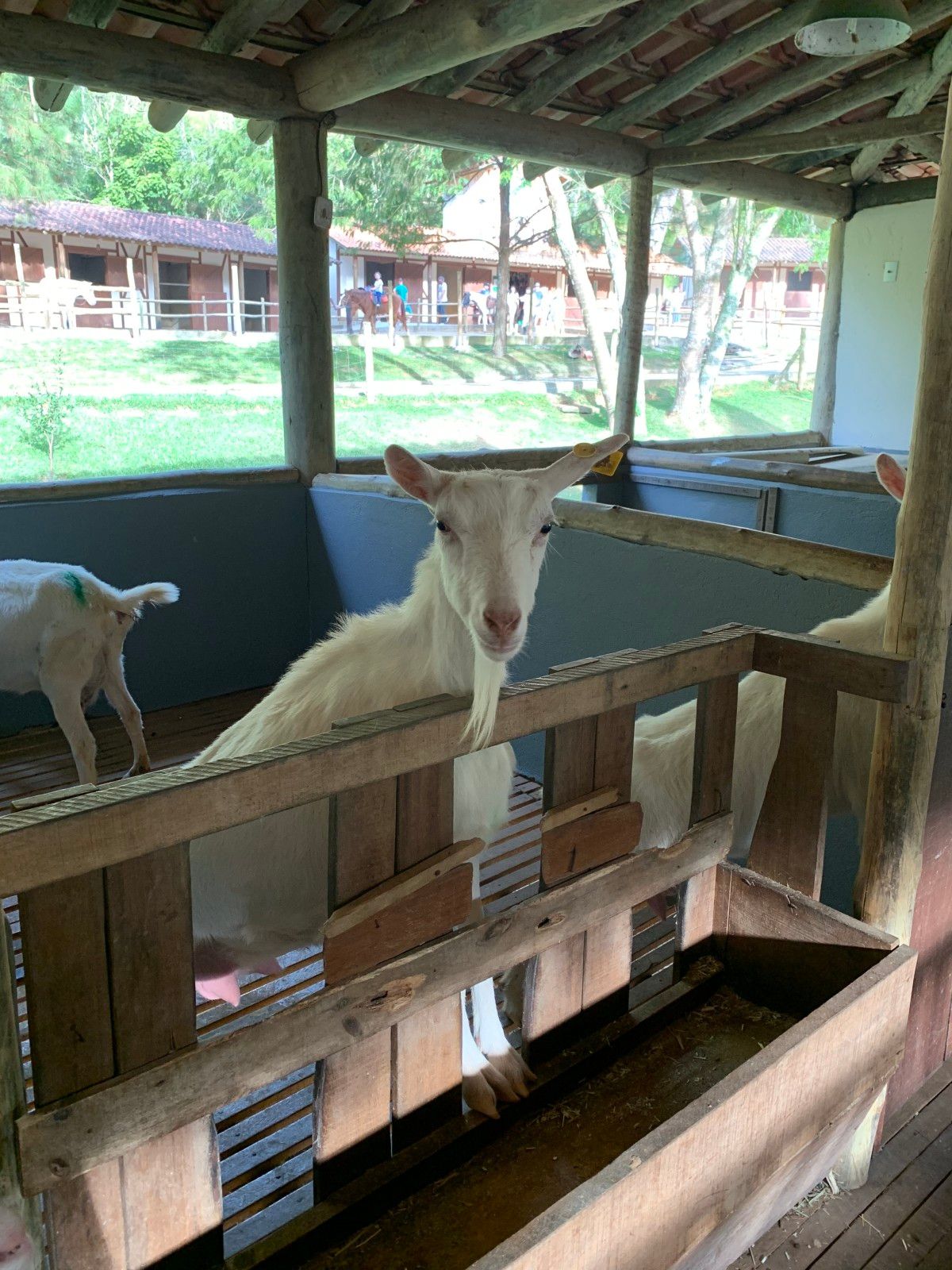 Como é se hospedar no Le Canton, em Teresópolis , no inverno - 54