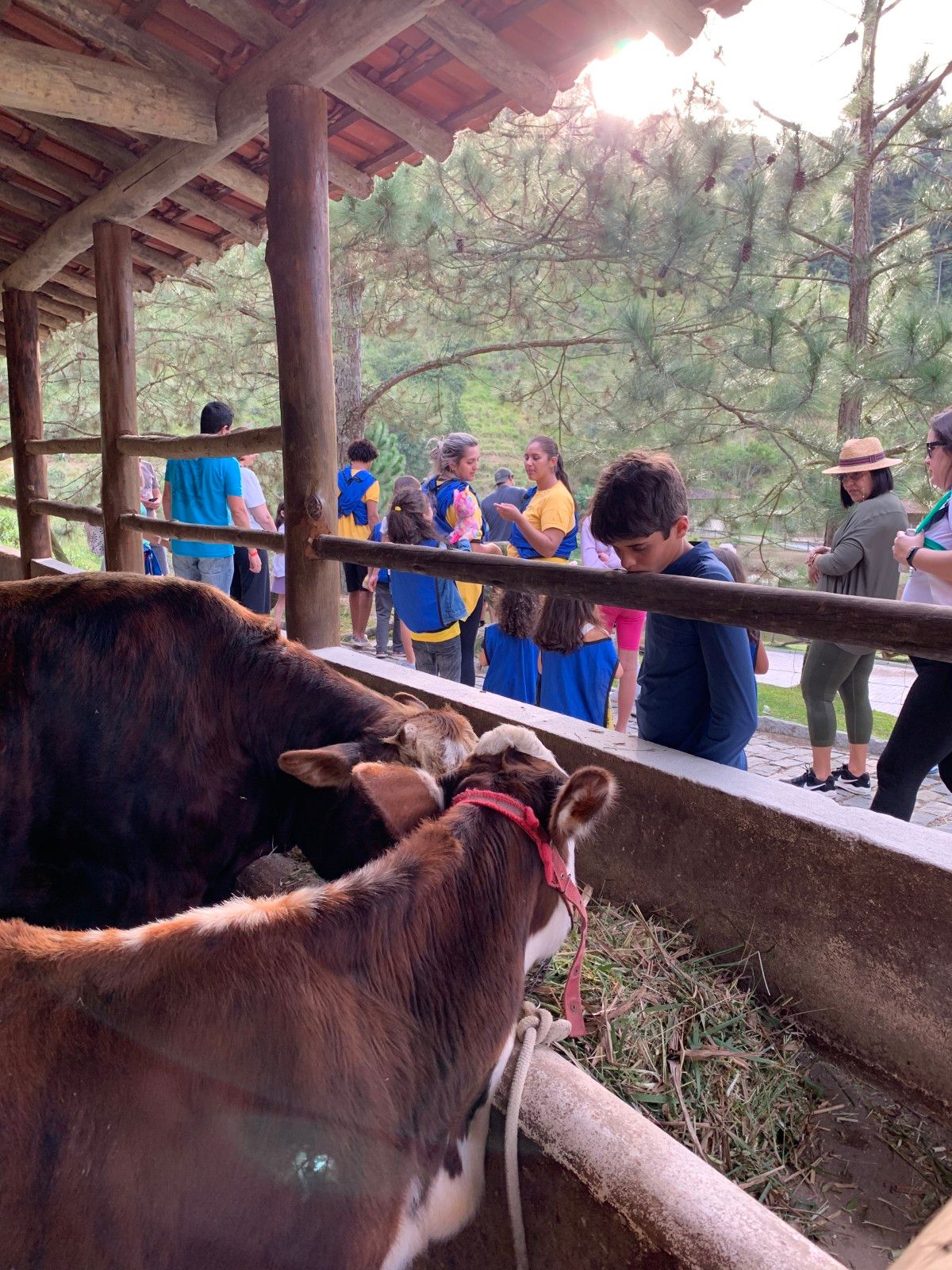 Como é se hospedar no Le Canton, em Teresópolis , no inverno - 57