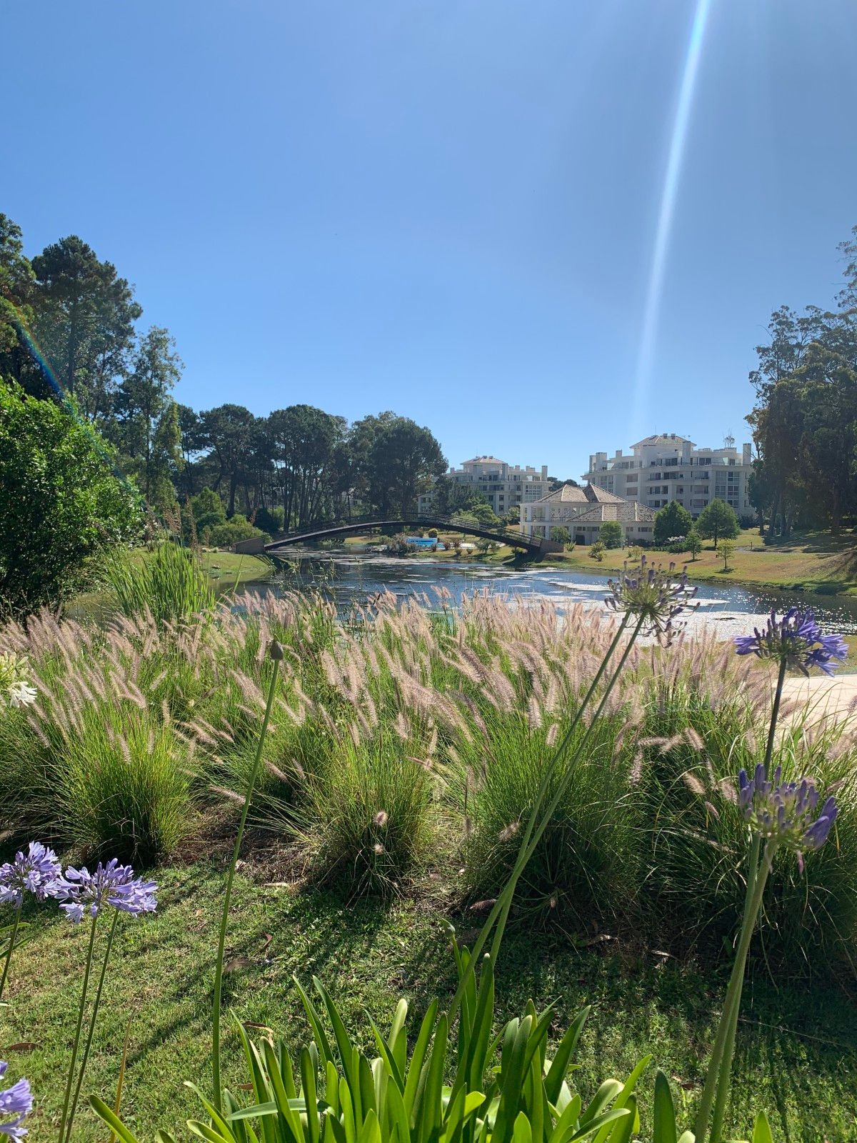 Onde se hospedar em Punta del Este - 56