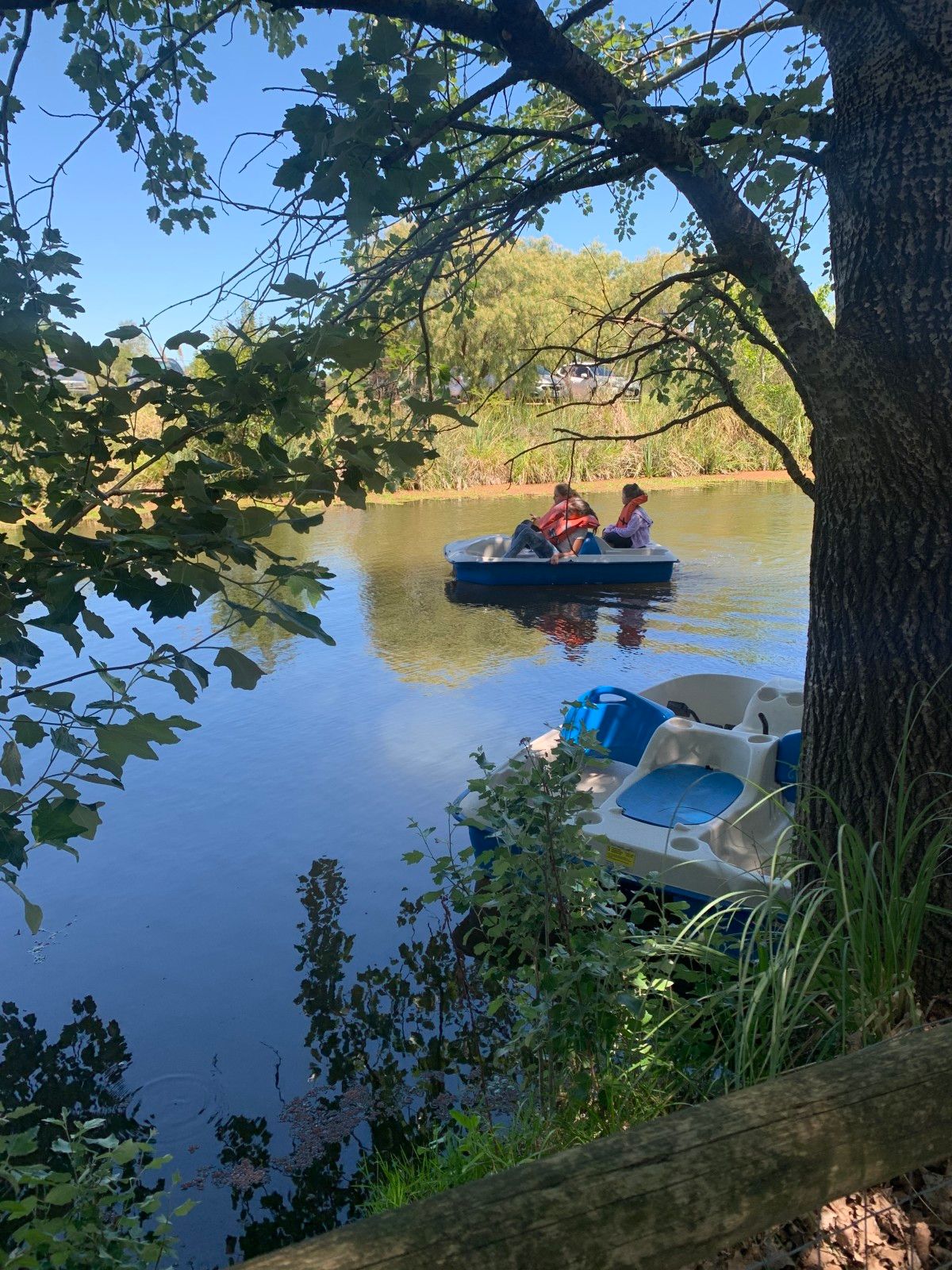 O que fazer em Montevidéu: 10 atrações imperdíveis - 76