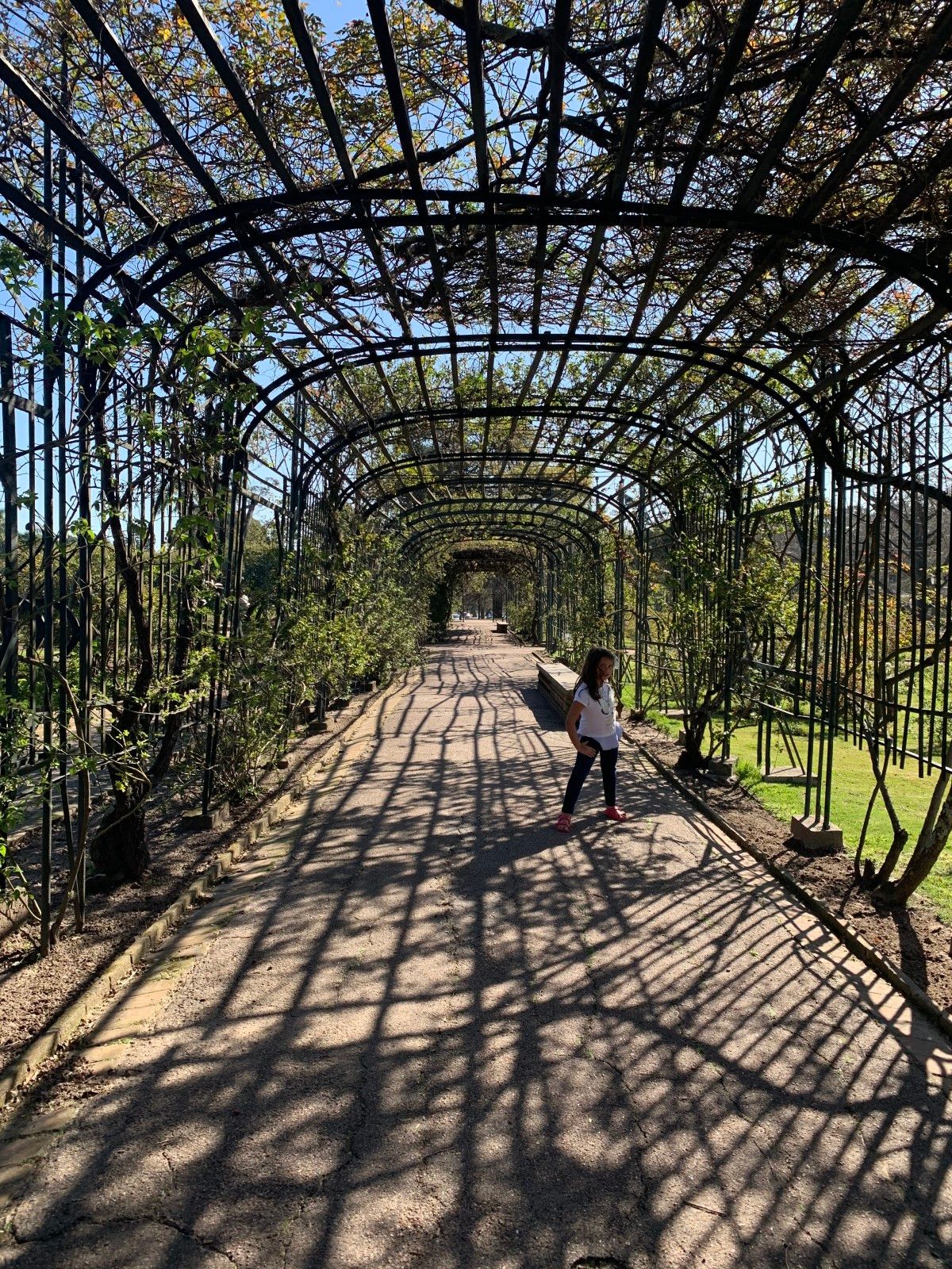 O que fazer em Montevidéu: 10 atrações imperdíveis - 55