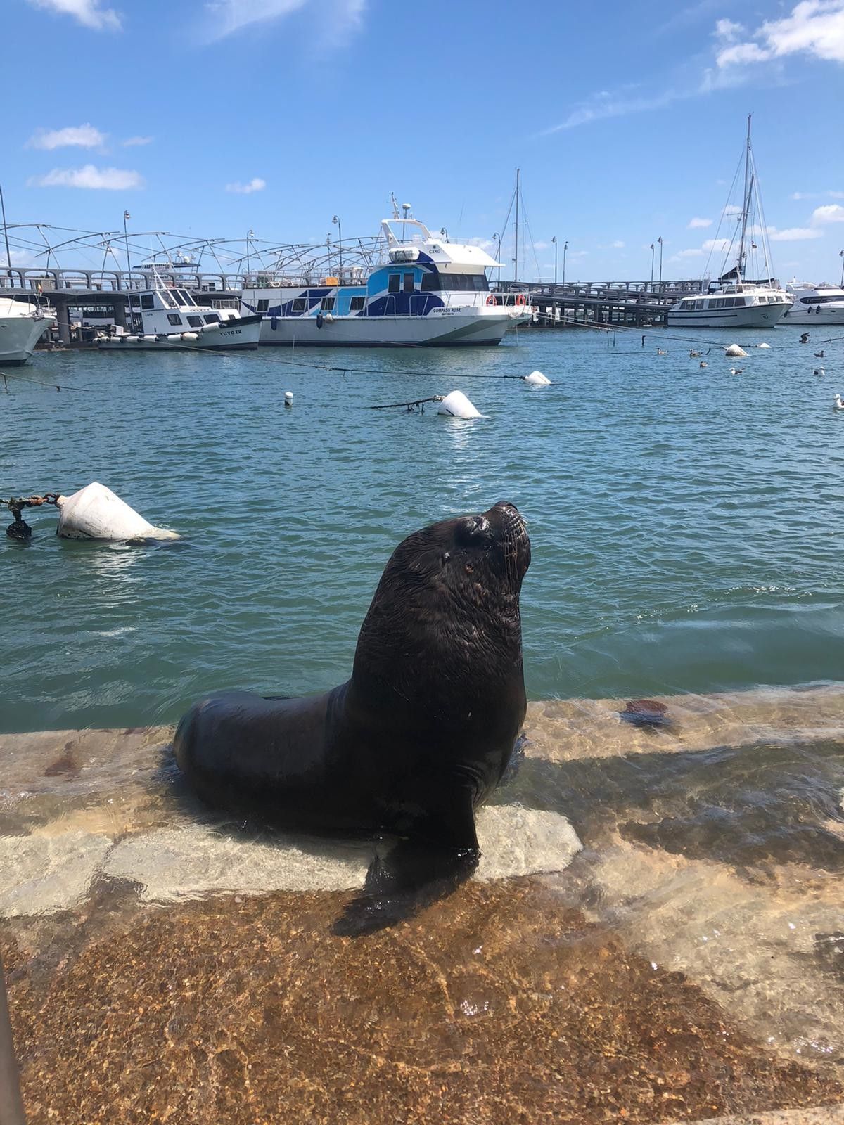 O que fazer no Uruguai: Roteiro de 10 dias - 22