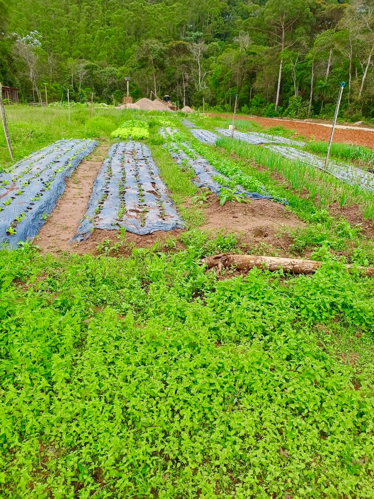 Onde comer no Espírito Santo: restaurantes e experiências - 24