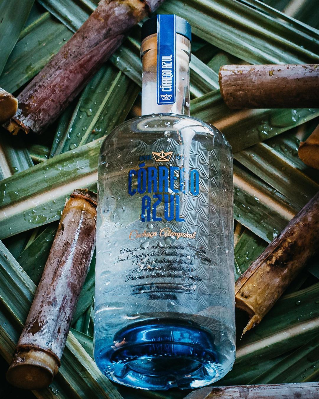 Suave e Equilibrada /suave-e-equilibrada