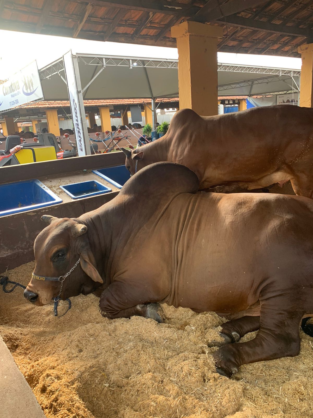 Expo Rio Preto 2023 - cidade ganha unidade da Embrapa - 2