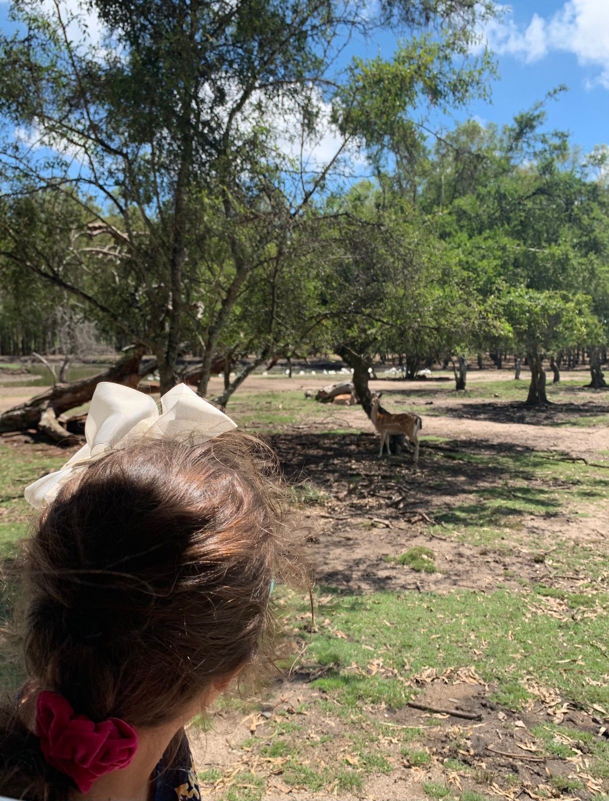 Passeios Bate e Volta a partir de Montevidéu - 28