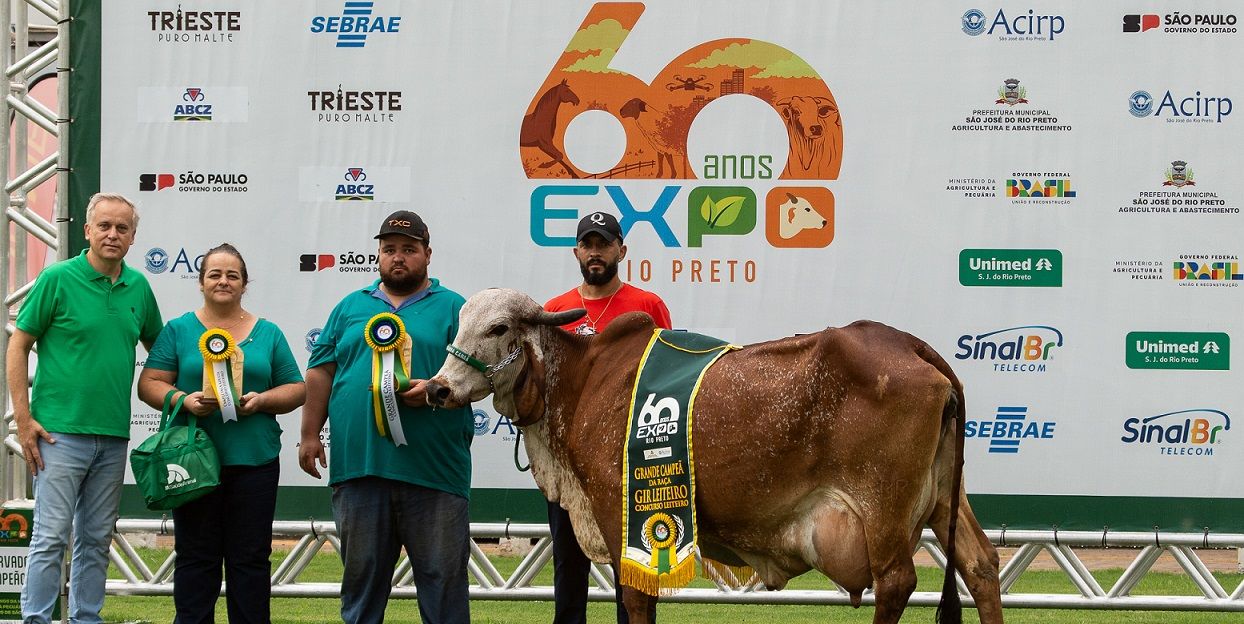 Gir Leiteiro e Girolando detém 80% da produção de leite no País - 2