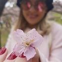 @giccastilho