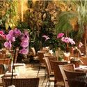 @tantrarestaurante