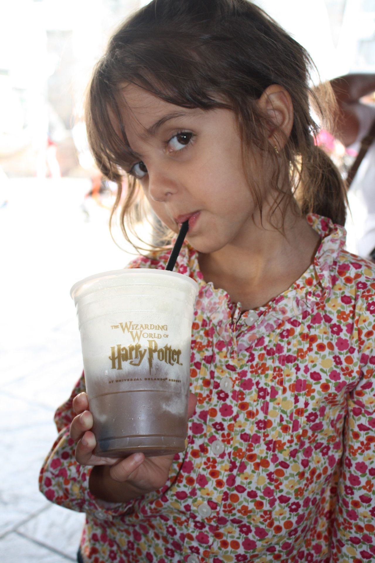 Viajando pelo Mundo Mágico do Harry Potter na quarentena! - 31