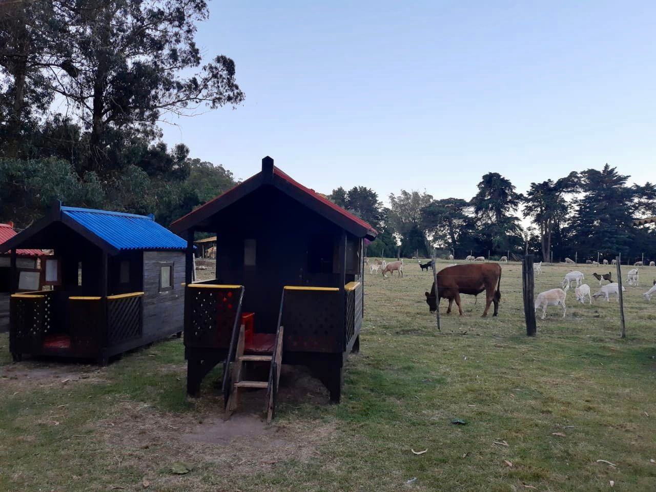 Fazenda Lapataia em Punta Del Este: conhecendo o Uruguay com crianças - 28