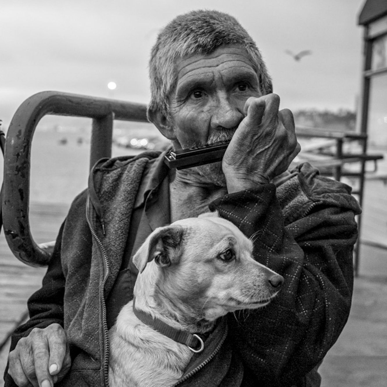 Fotos Aceitas e Premiadas - 3 - 18