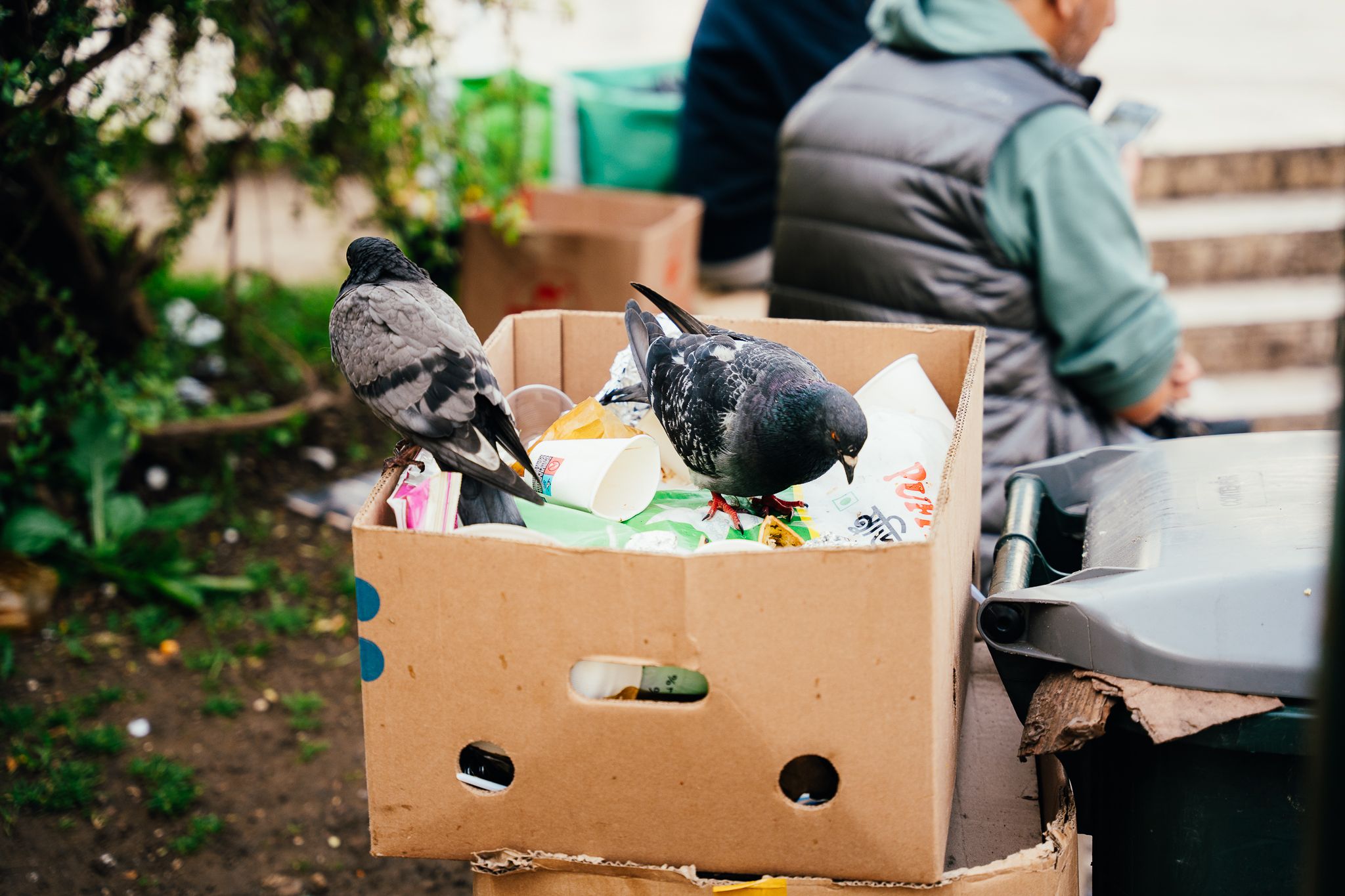 Rua do Benformoso - Lisboa - 2 - 1