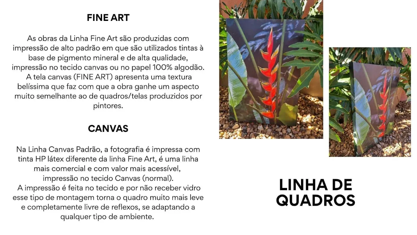 Cacá Romani.ART - 4