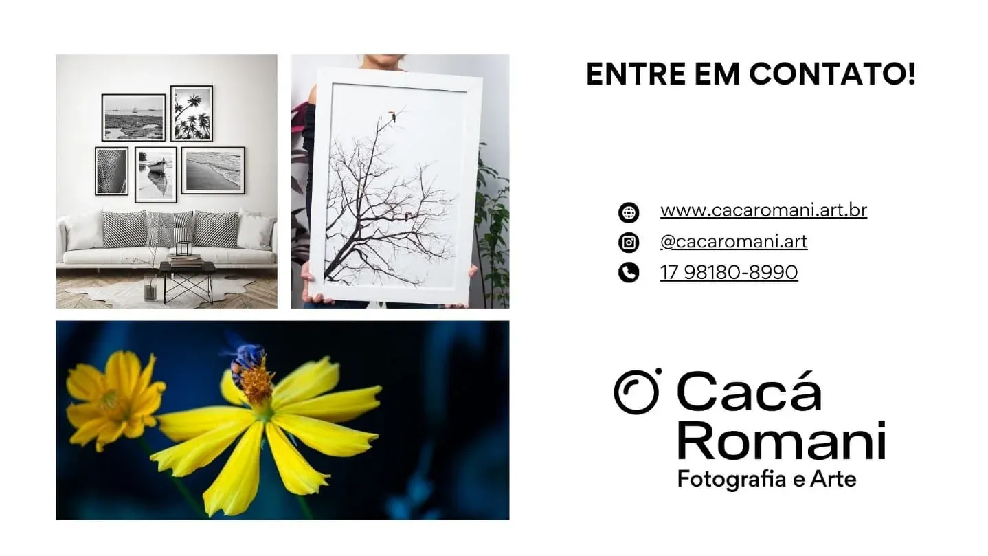 Cacá Romani.ART - 11