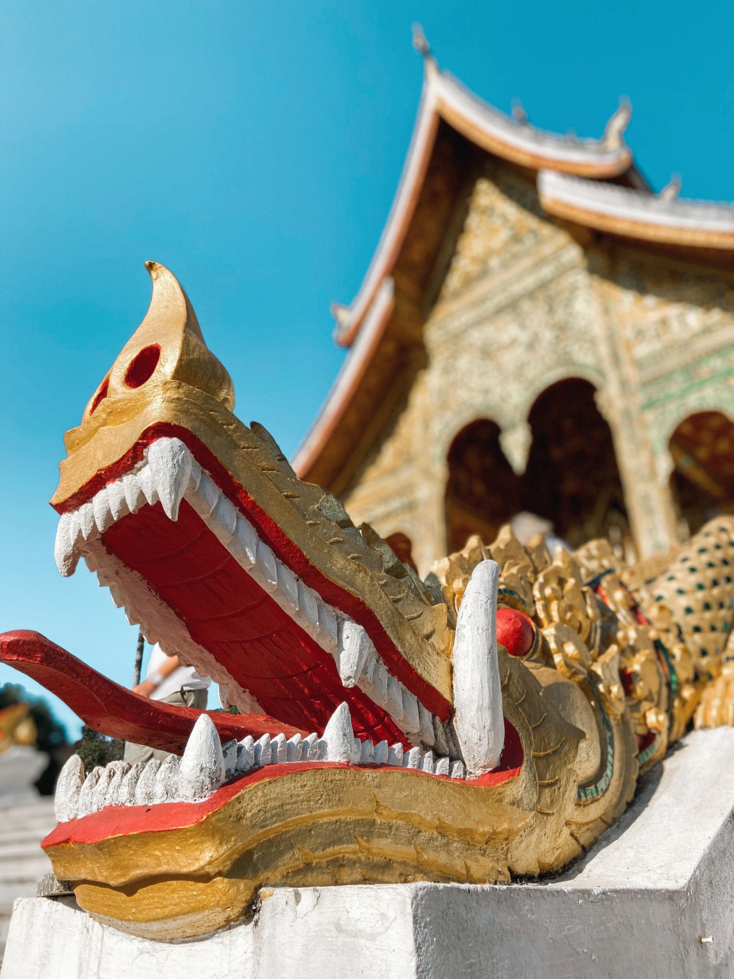 Descubra 18 fatos e curiosidades sobre o Laos - 21