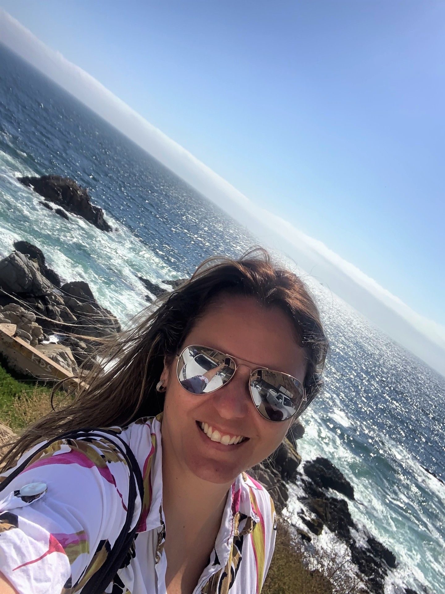 Vinã del Mar: bate-volta saindo de Santiago - 36