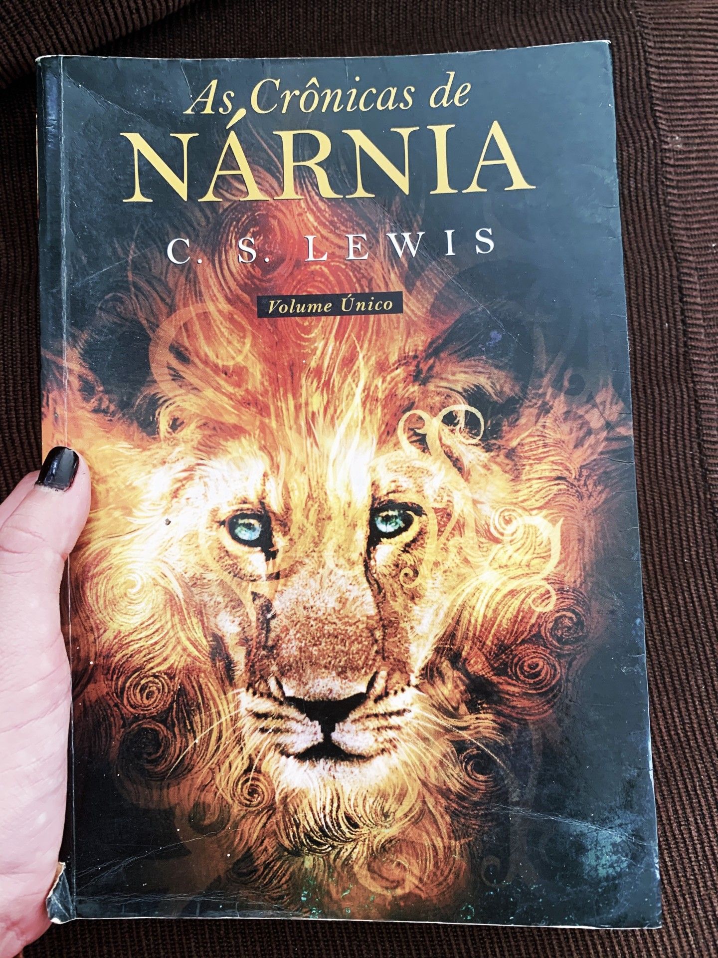 25 livros juvenis para viajar sem sair de casa - 11