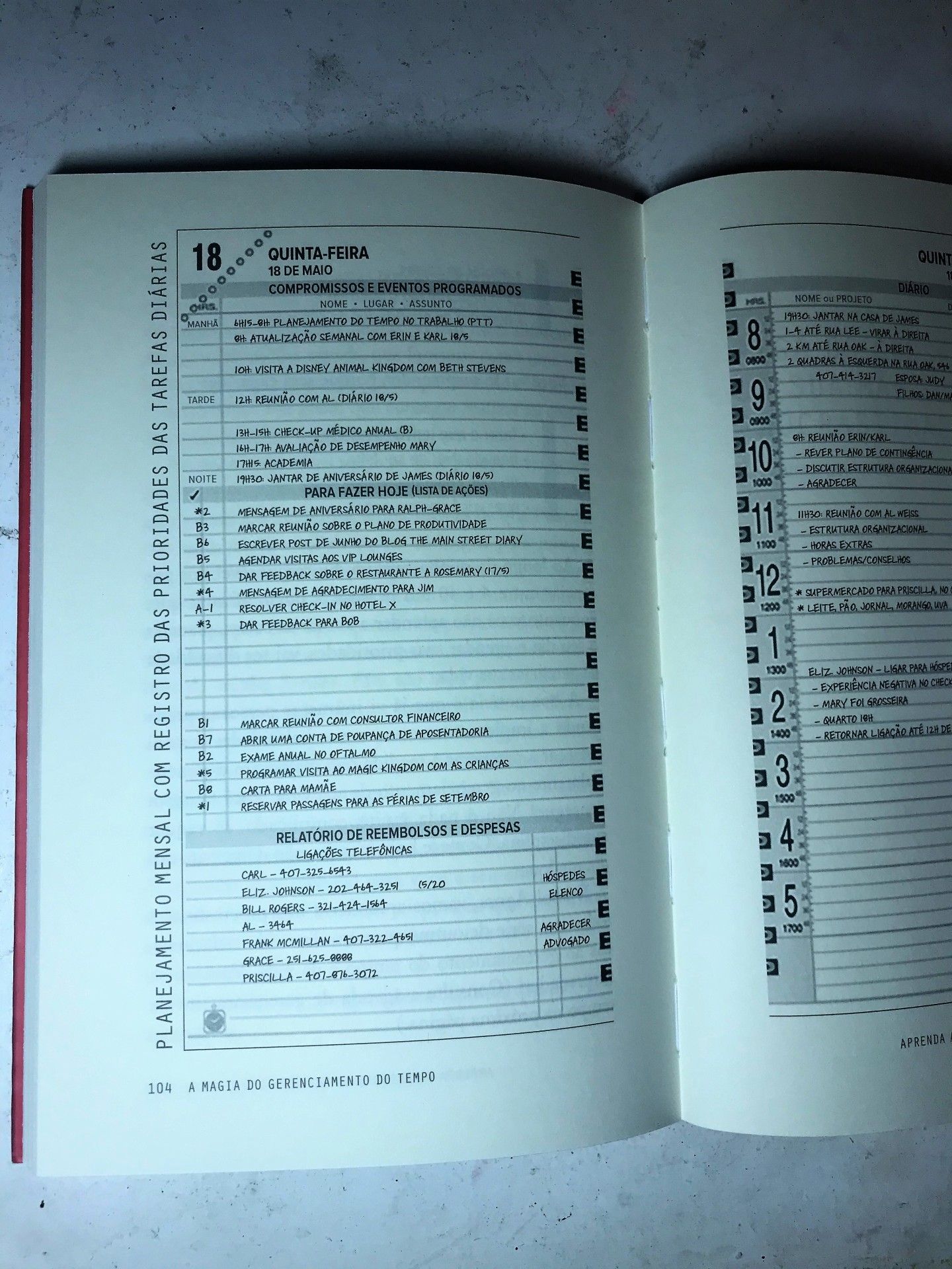 Livros para quem ama o mundo Disney - 19