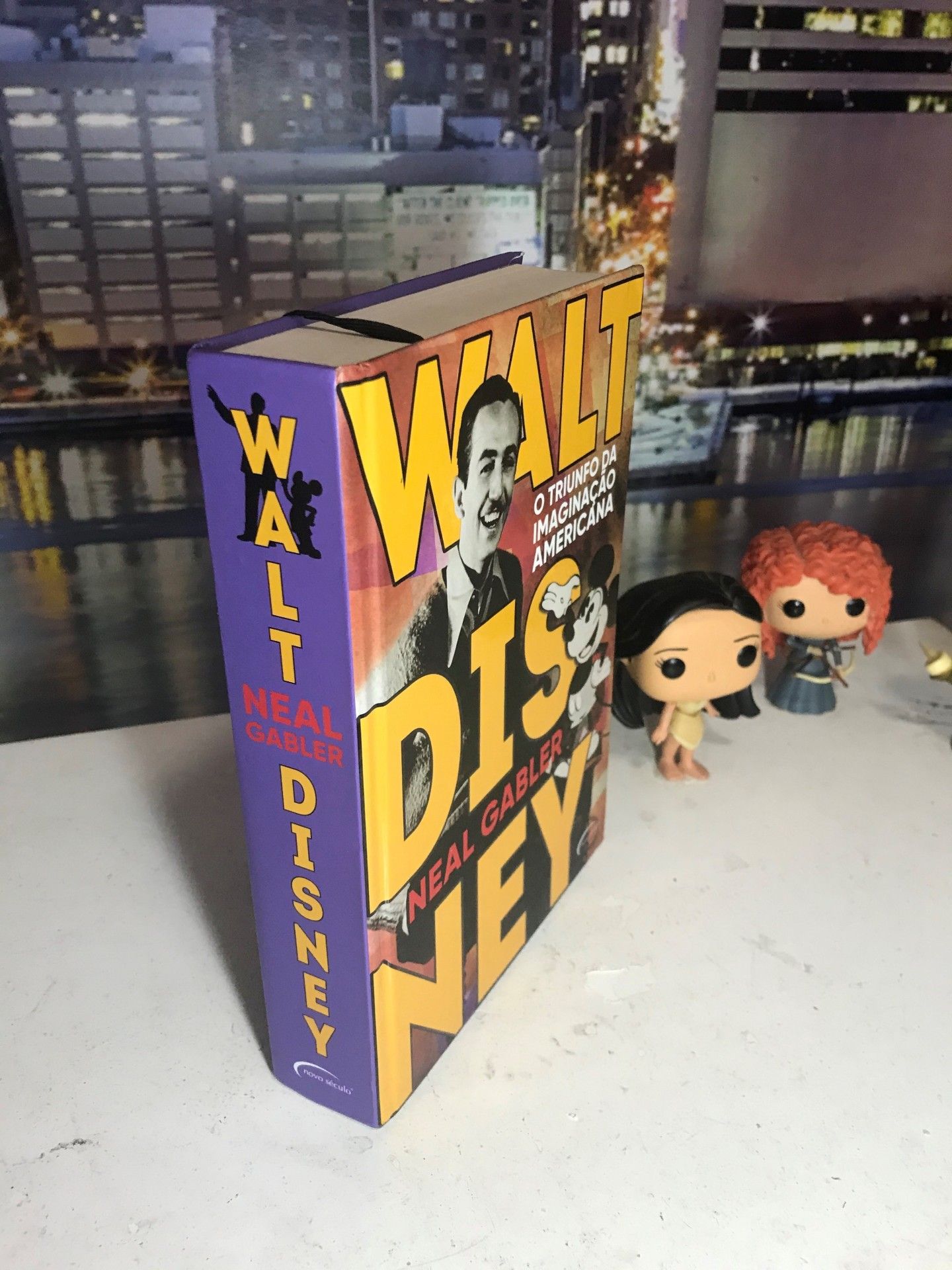 Livros para quem ama o mundo Disney - 24