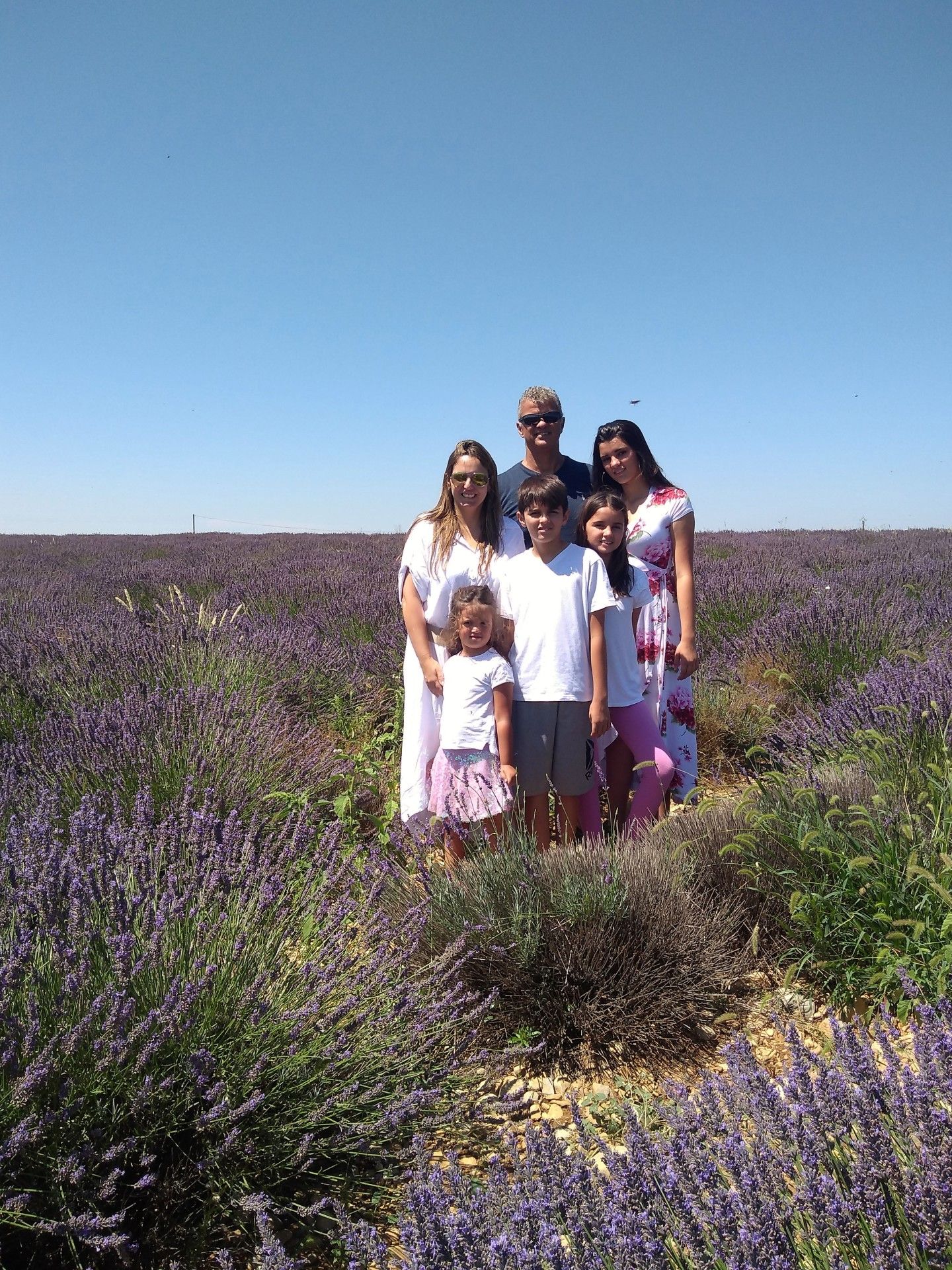 Provence: como visitar os campos de lavanda  com crianças - 5