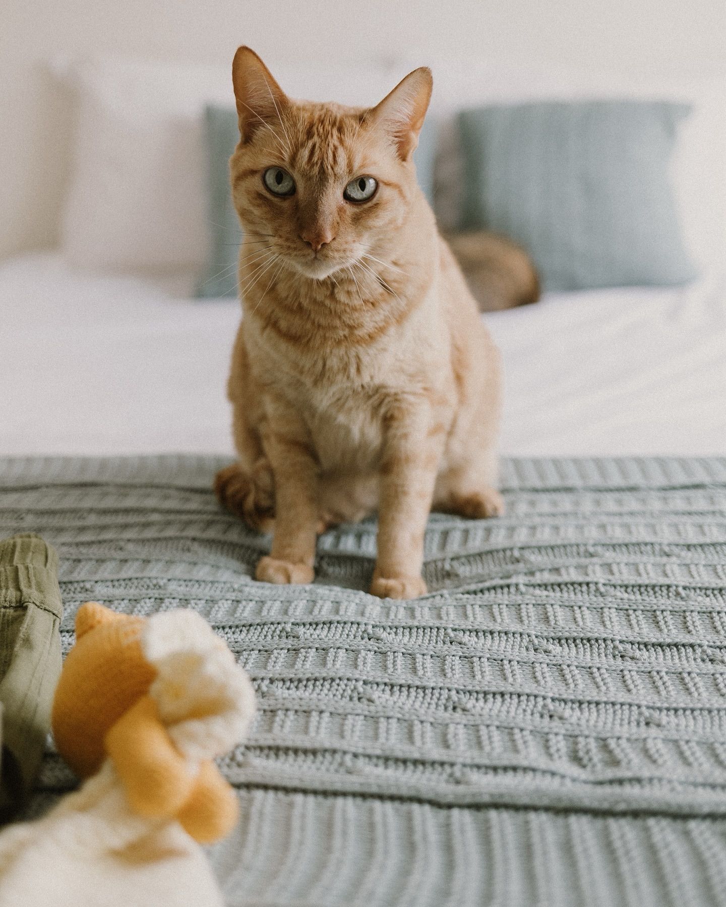 Ensaio Gestante - 14