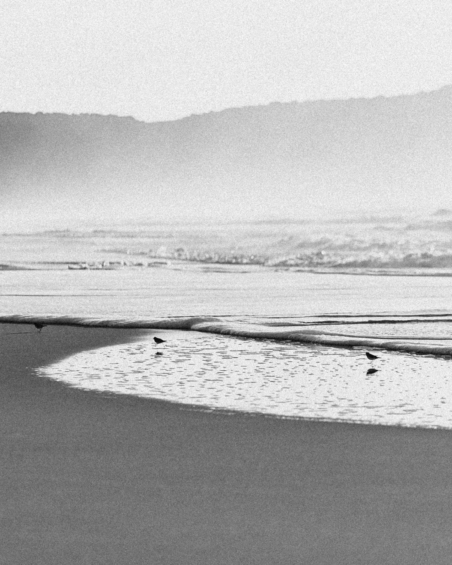 "Pro dia nascer feliz!" - 6