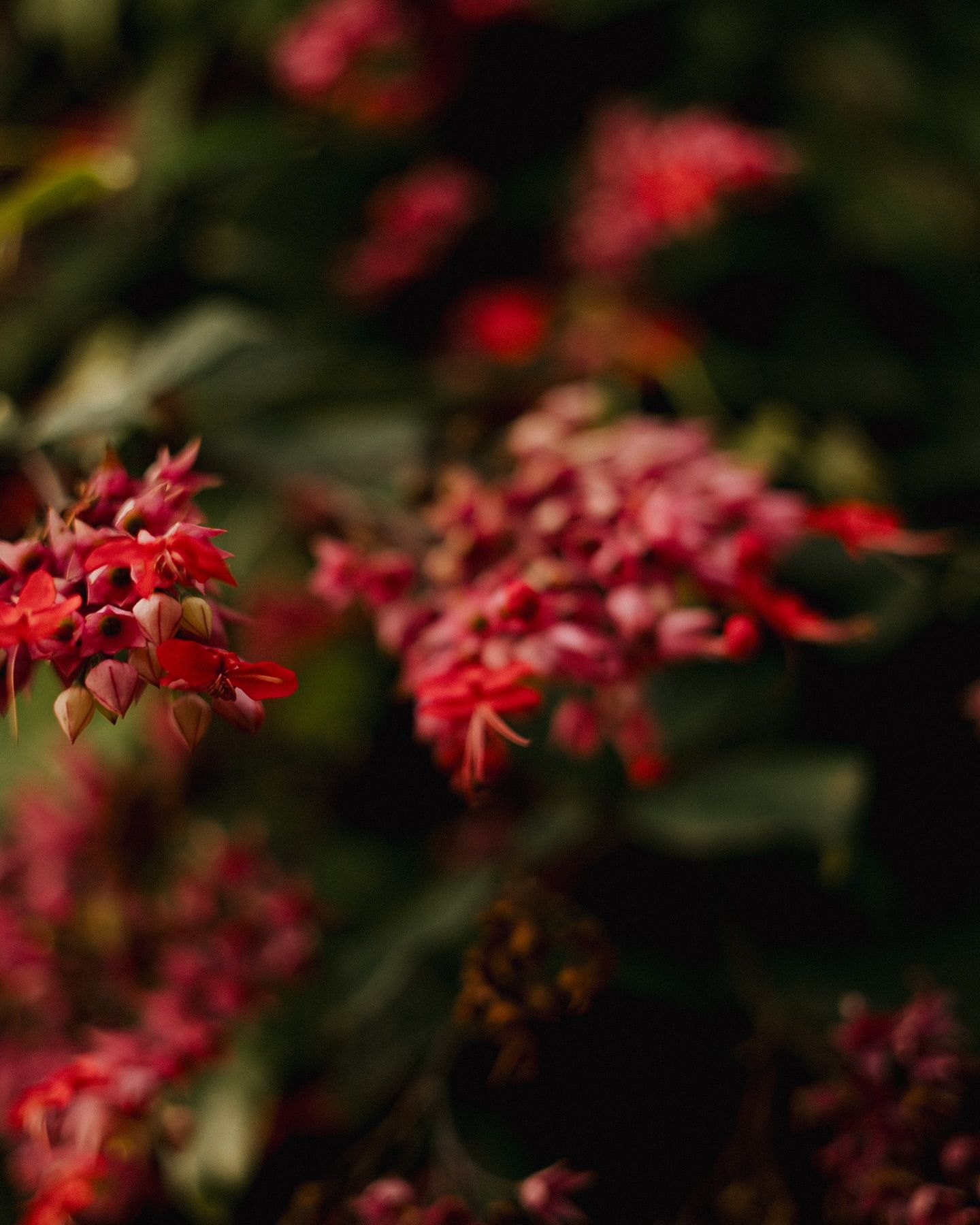 "Pro dia nascer feliz!" - 10