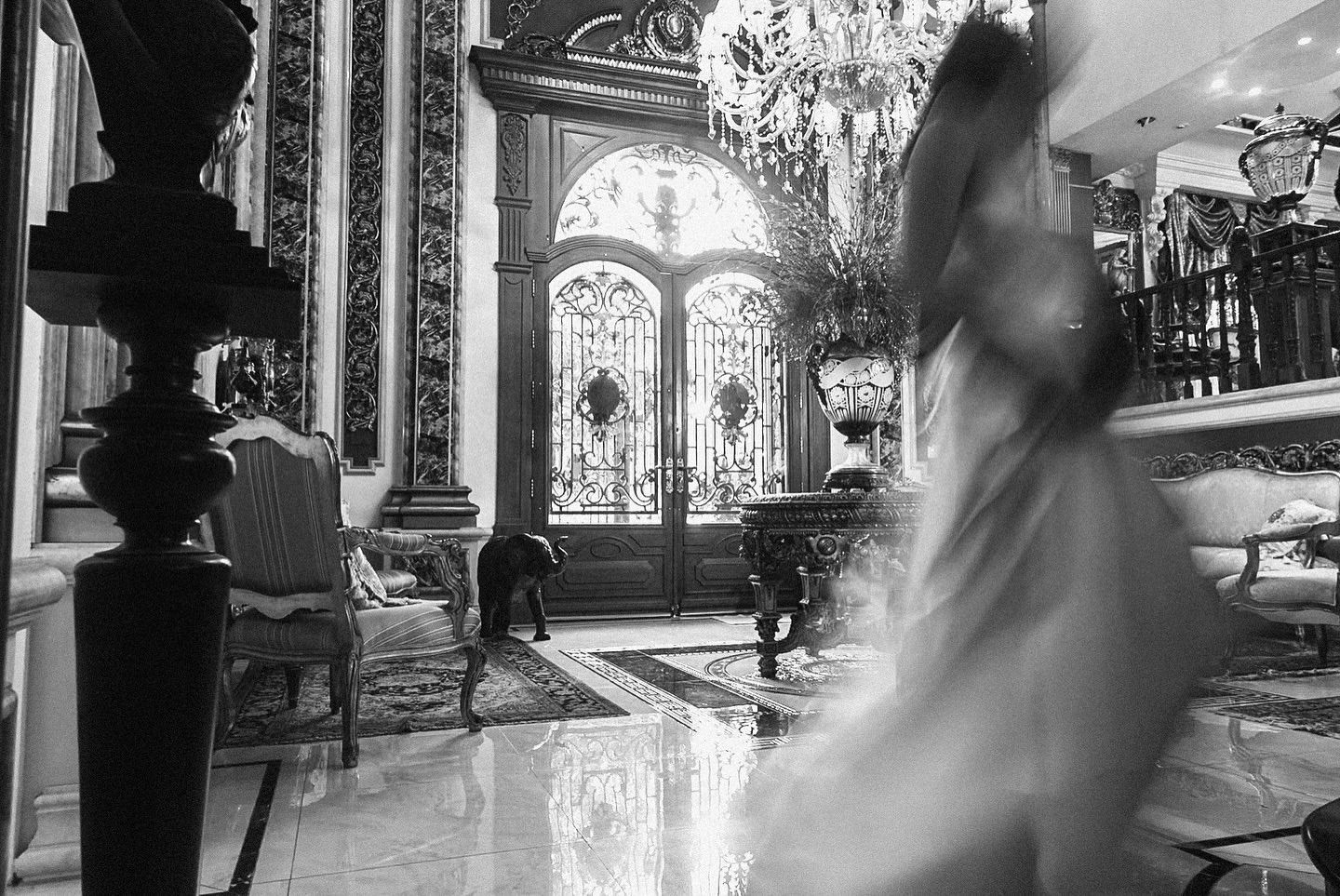 Fotografando em um Palácio! - 3