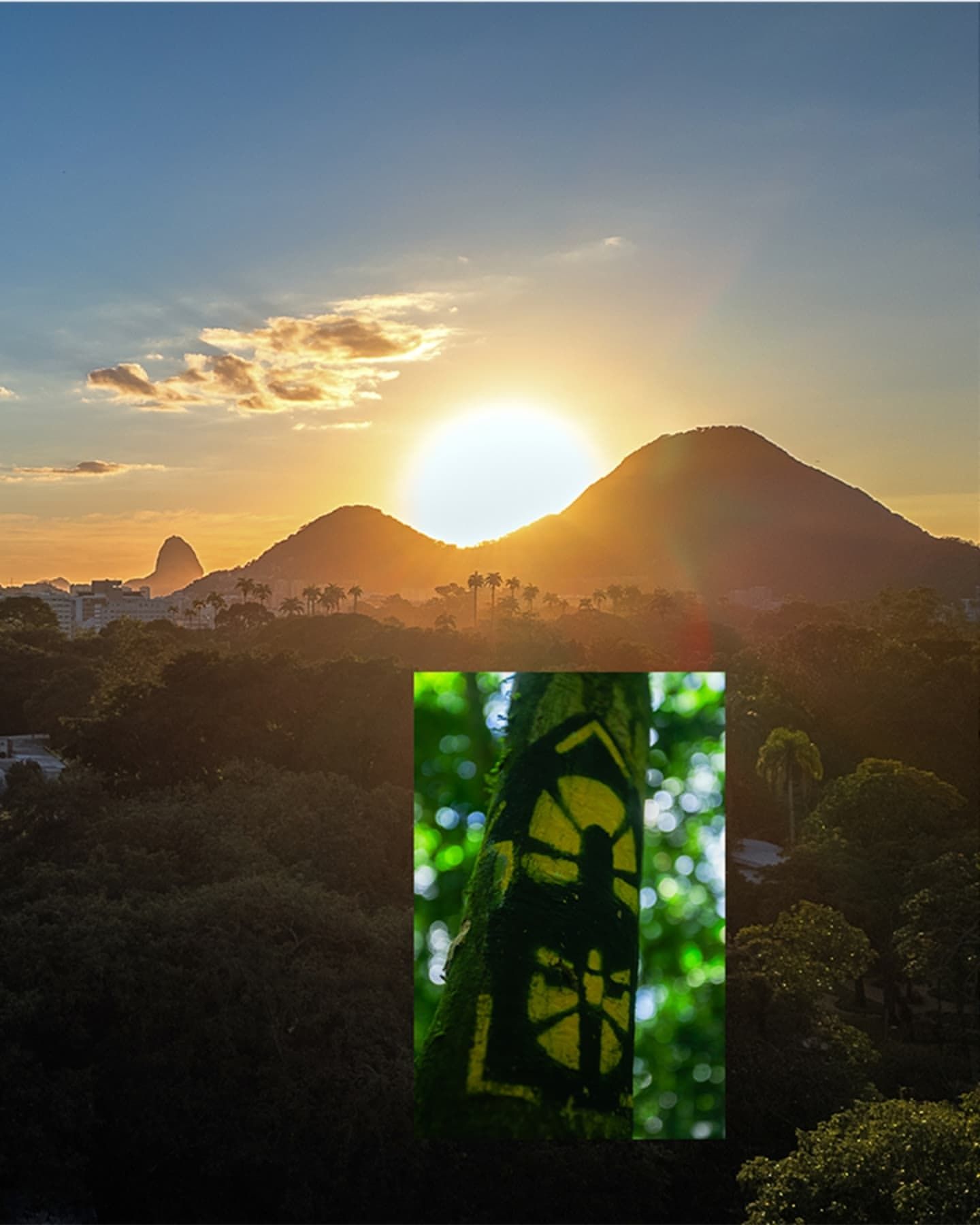 Foto e vídeo de ensaios, cobertura, documentários e muito mais... - 2