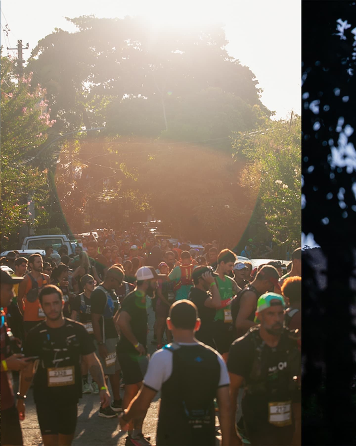 Foto e vídeo de ensaios, cobertura, documentários e muito mais... - 3