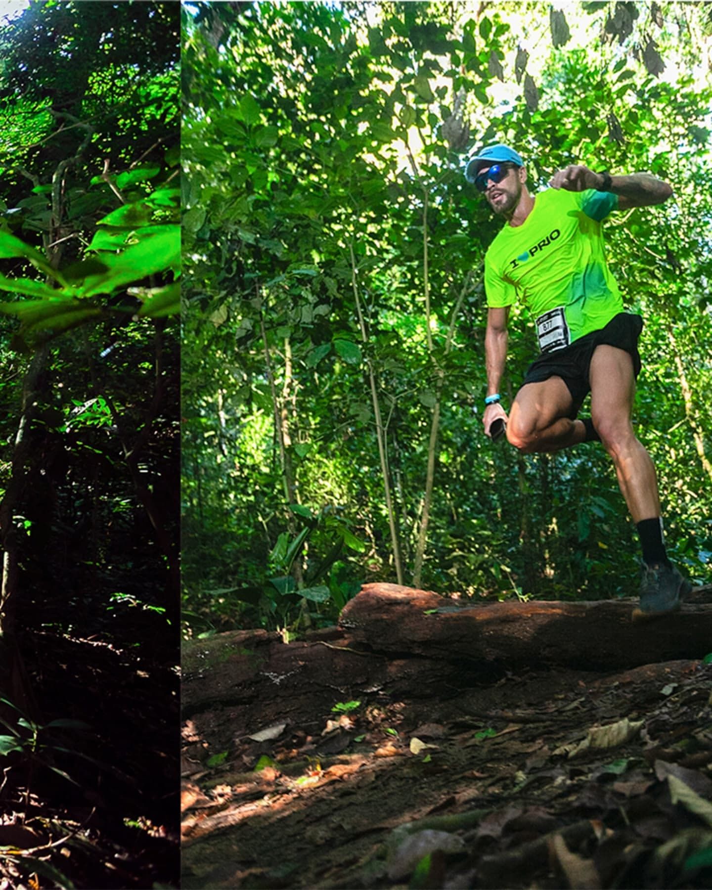 Foto e vídeo de ensaios, cobertura, documentários e muito mais... - 8