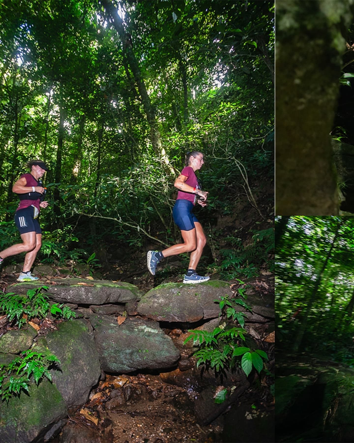Foto e vídeo de ensaios, cobertura, documentários e muito mais... - 11