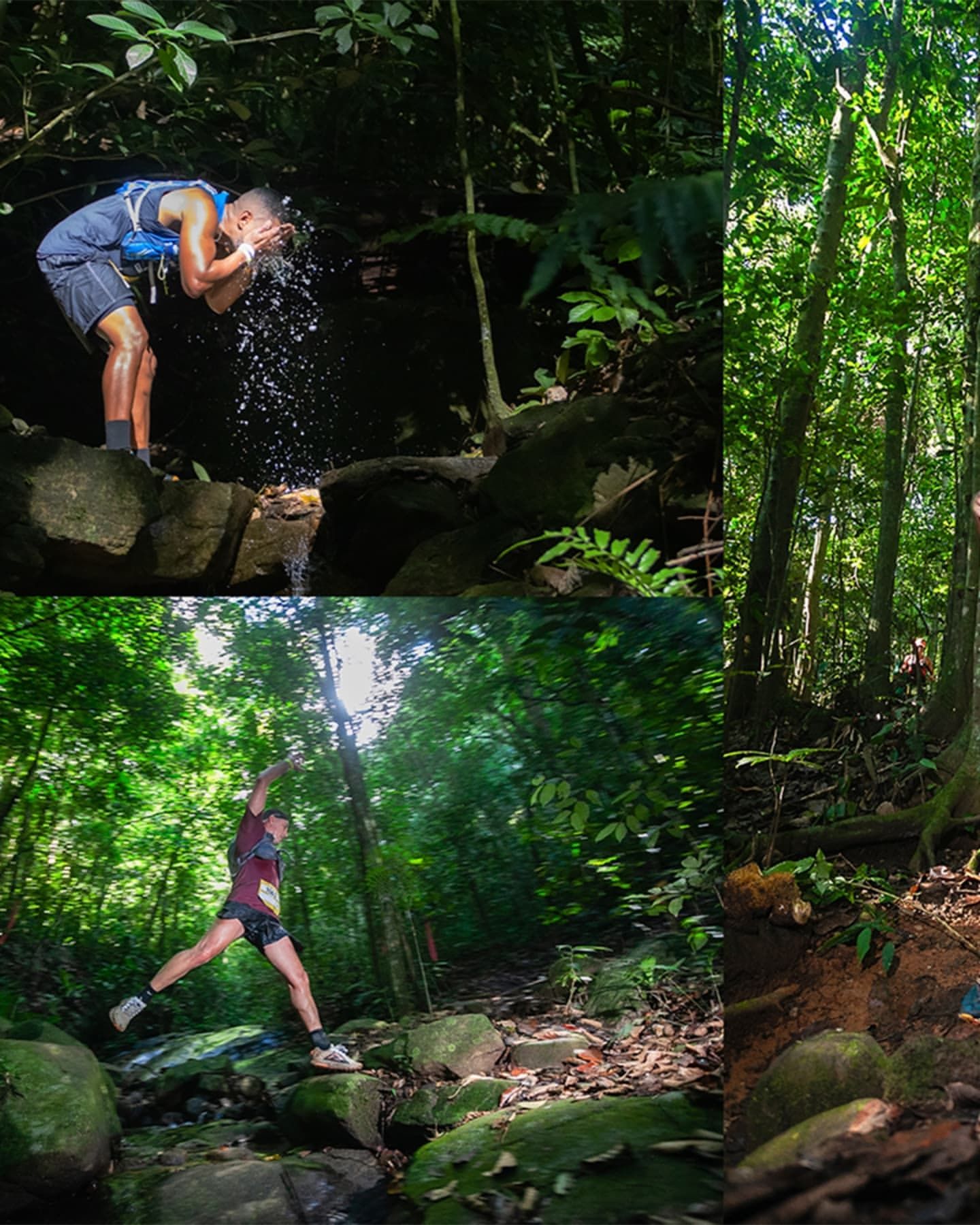 Foto e vídeo de ensaios, cobertura, documentários e muito mais... - 12